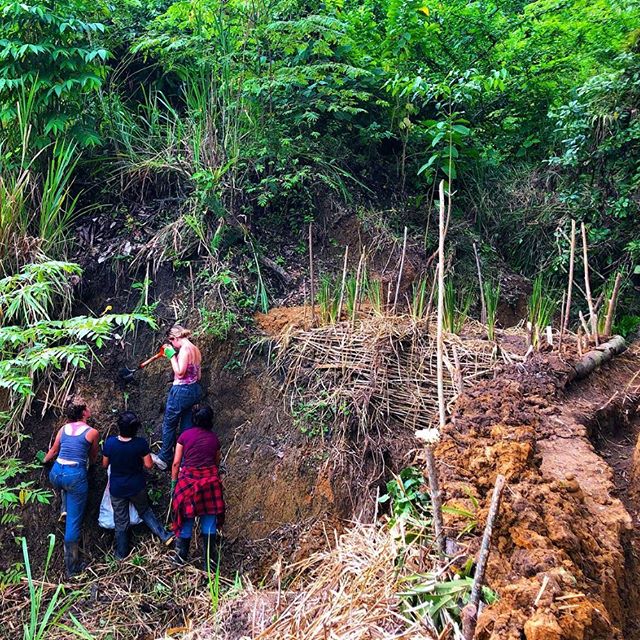 Building key point pond and overflow trenches with living plant walls that will add strength with deep roots and interweaving branching systems to reverse erosion in gullies like this on the farm! Thanks to these awesome environmental engineering, en