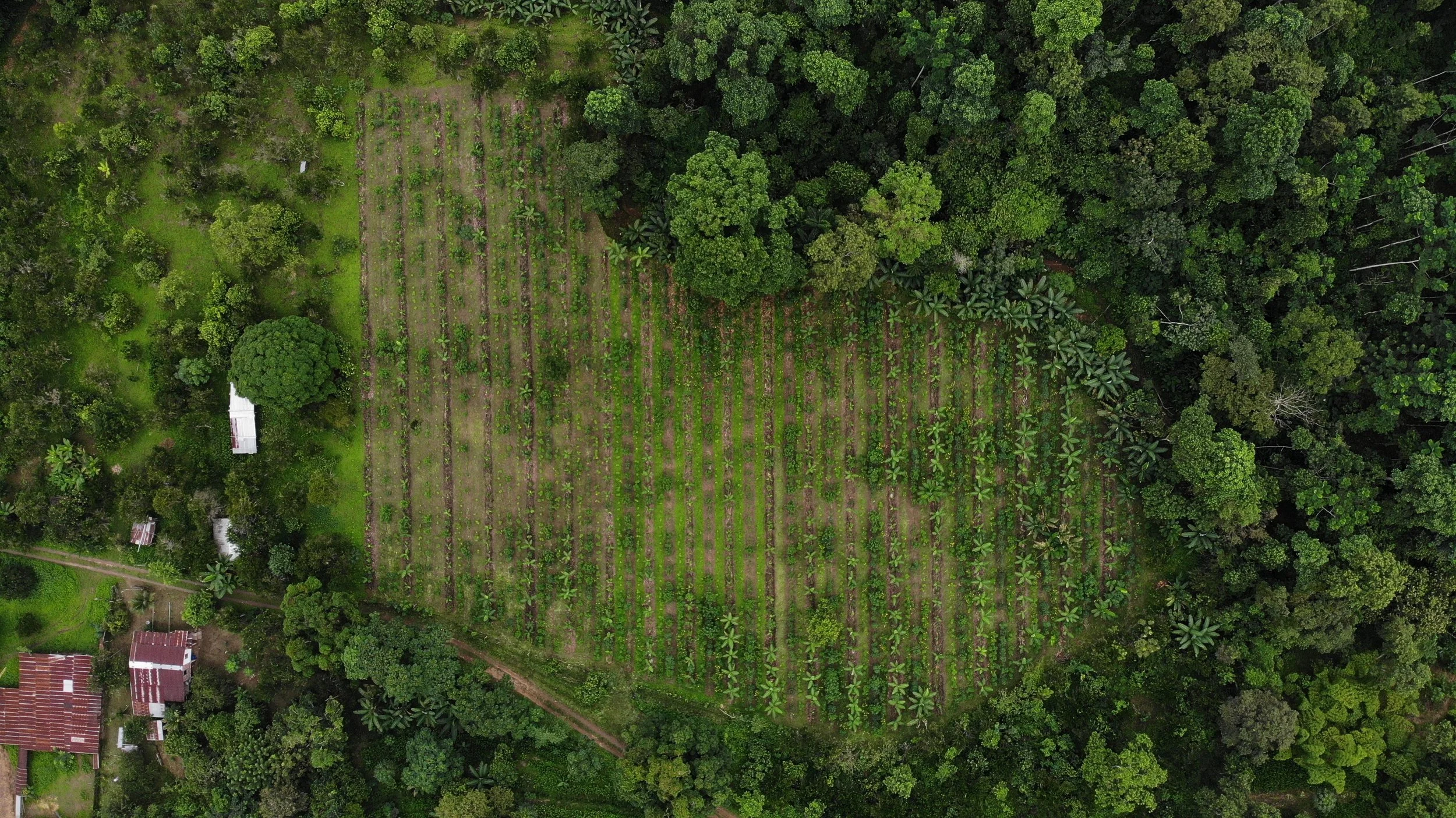 DJI_0998.JPG