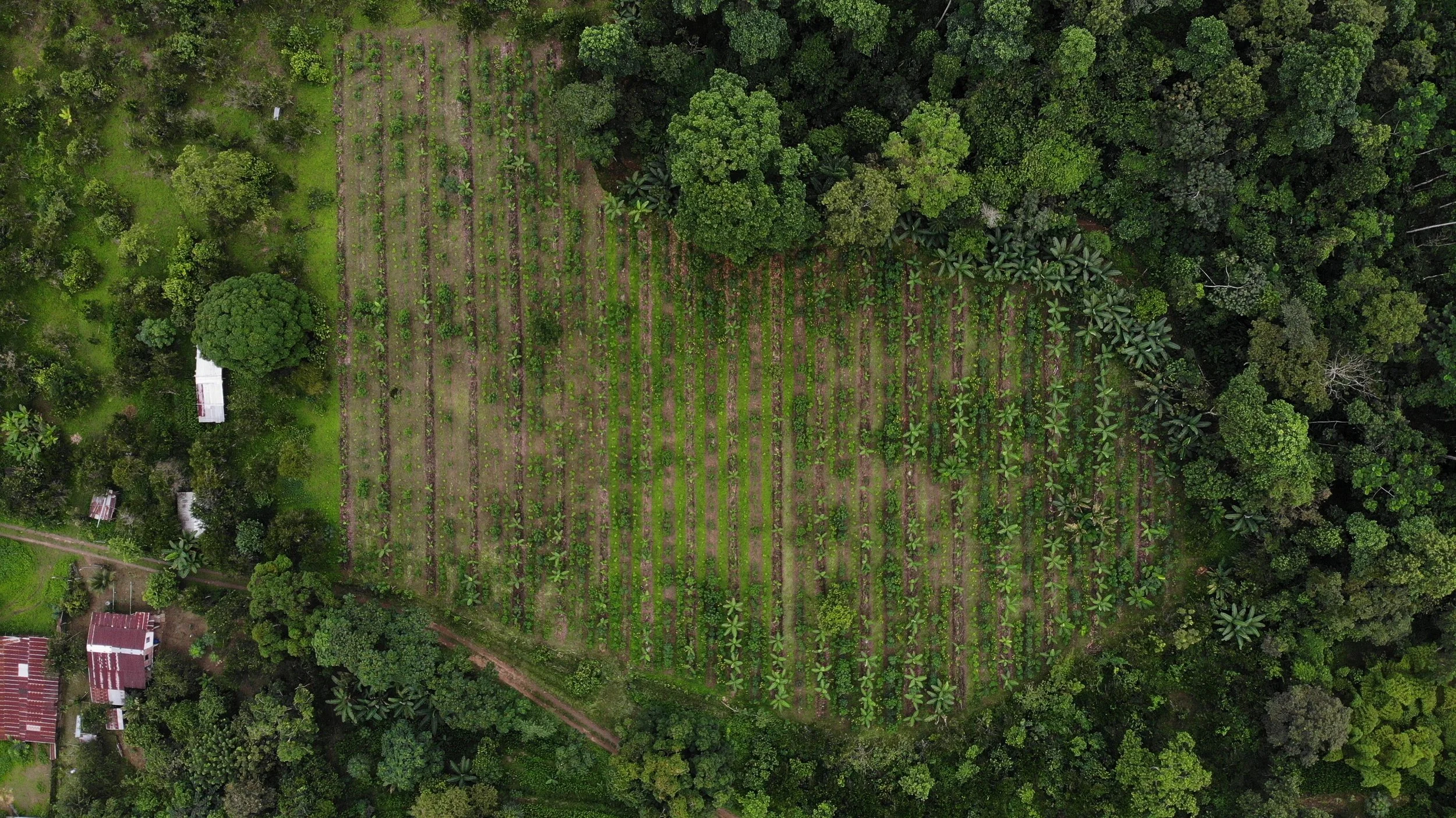 DJI_0997.JPG