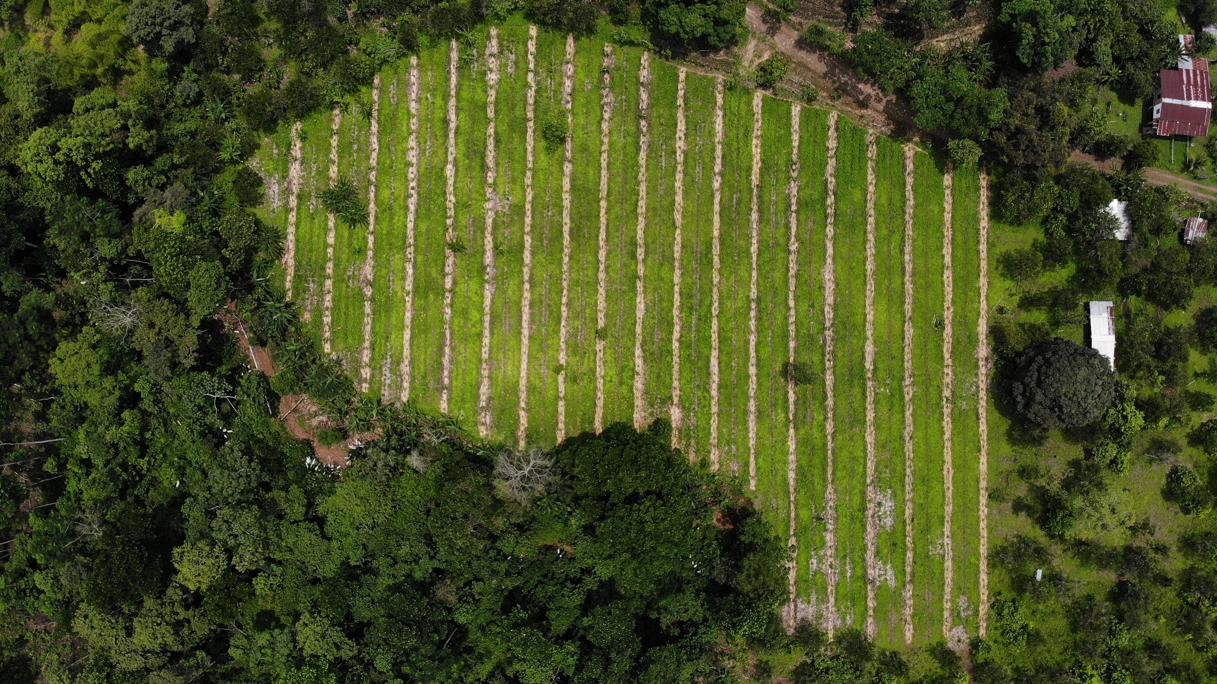 DJI_0694.JPG