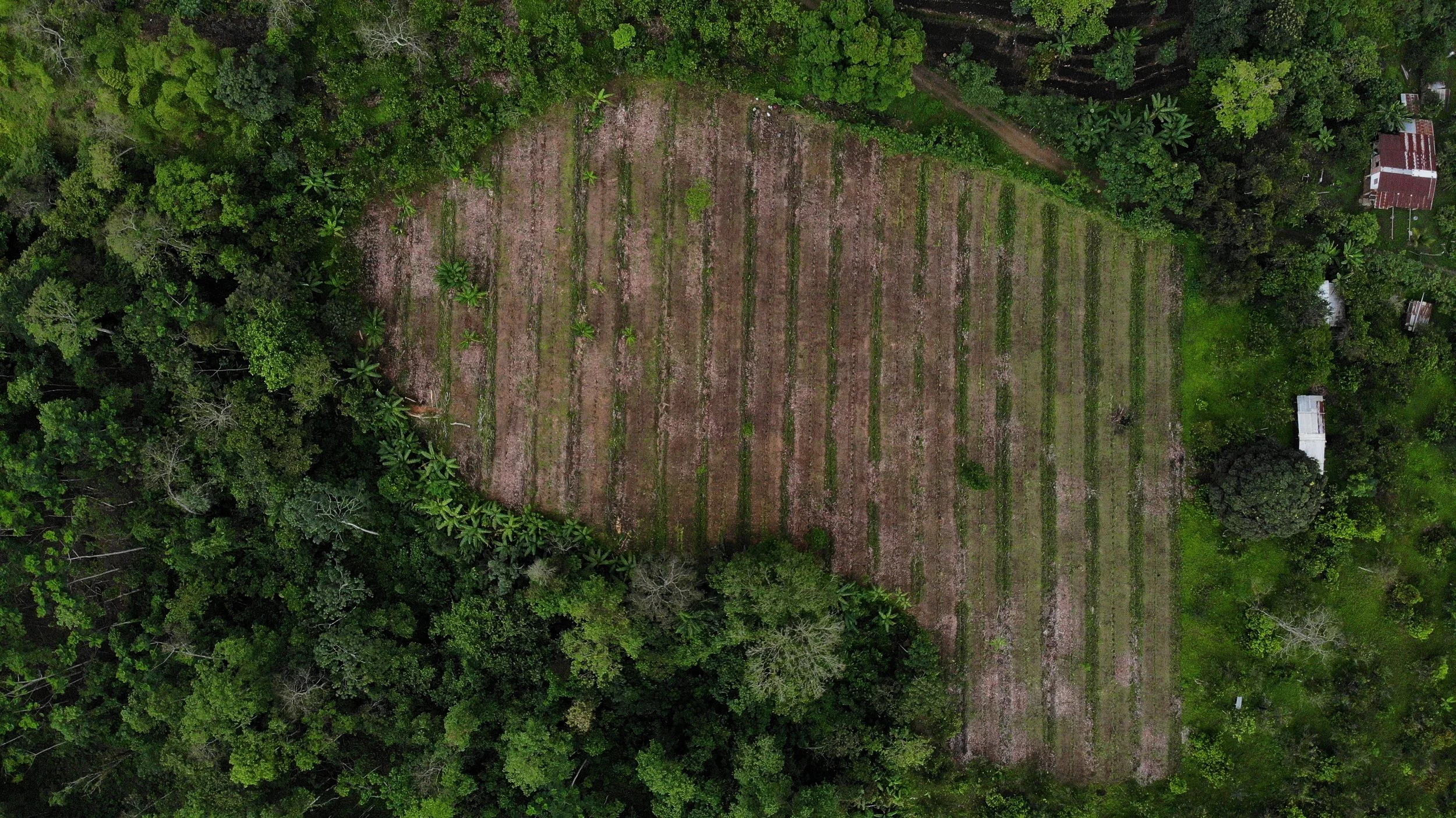 DJI_0033 - copia.JPG