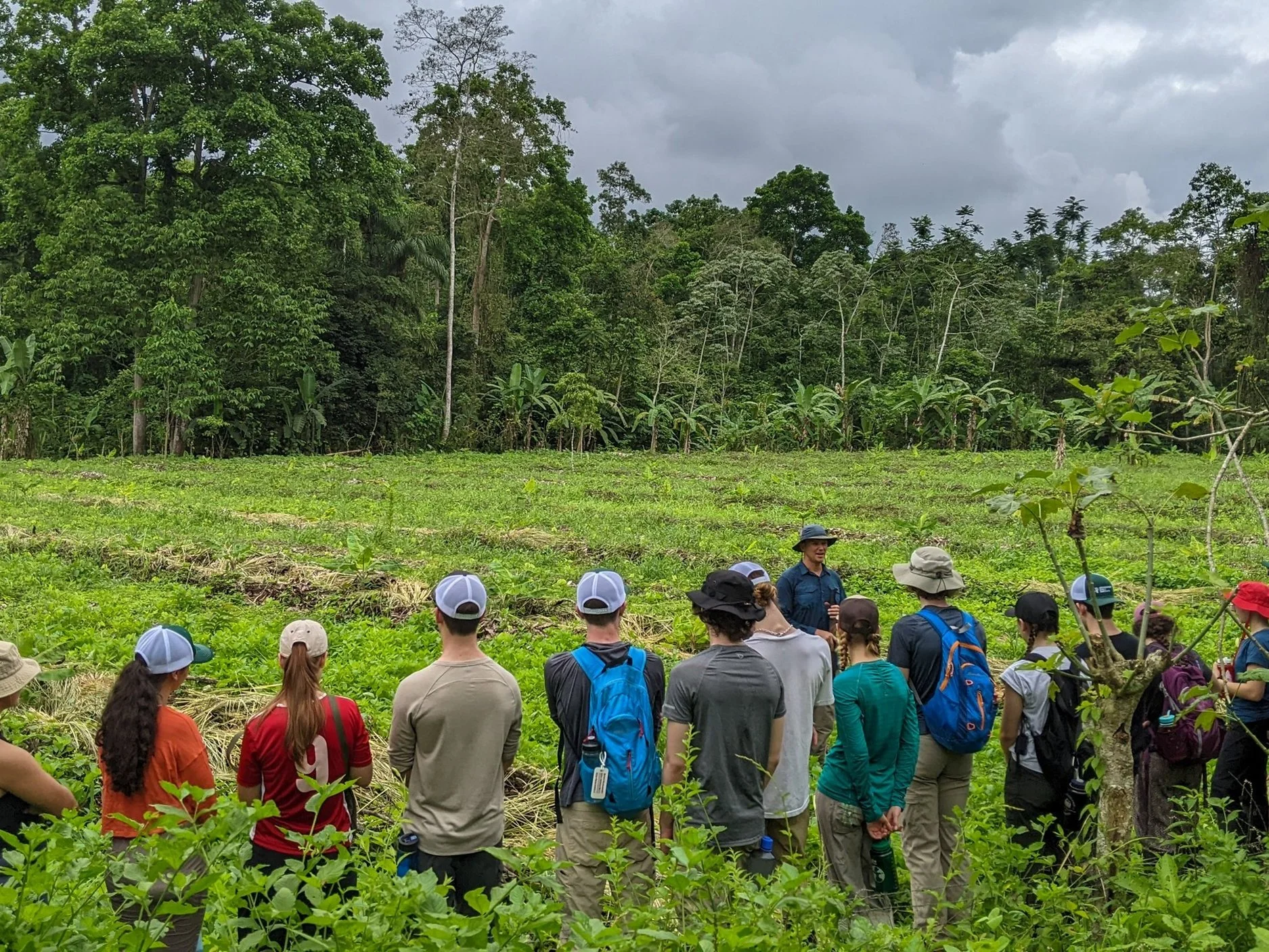 Los Arboleros Farm's 1st Syntropic Agroforestry Workshop