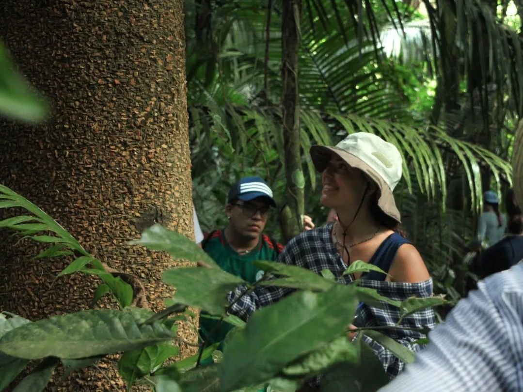 From our blog: Preservation of Primary Forests

Primary forests, like this one in coastal Ecuador, are rare, untouched ecosystems that have stood the test of time, providing unparalleled biodiversity and climate benefits. 🌳 These old-growth forests 
