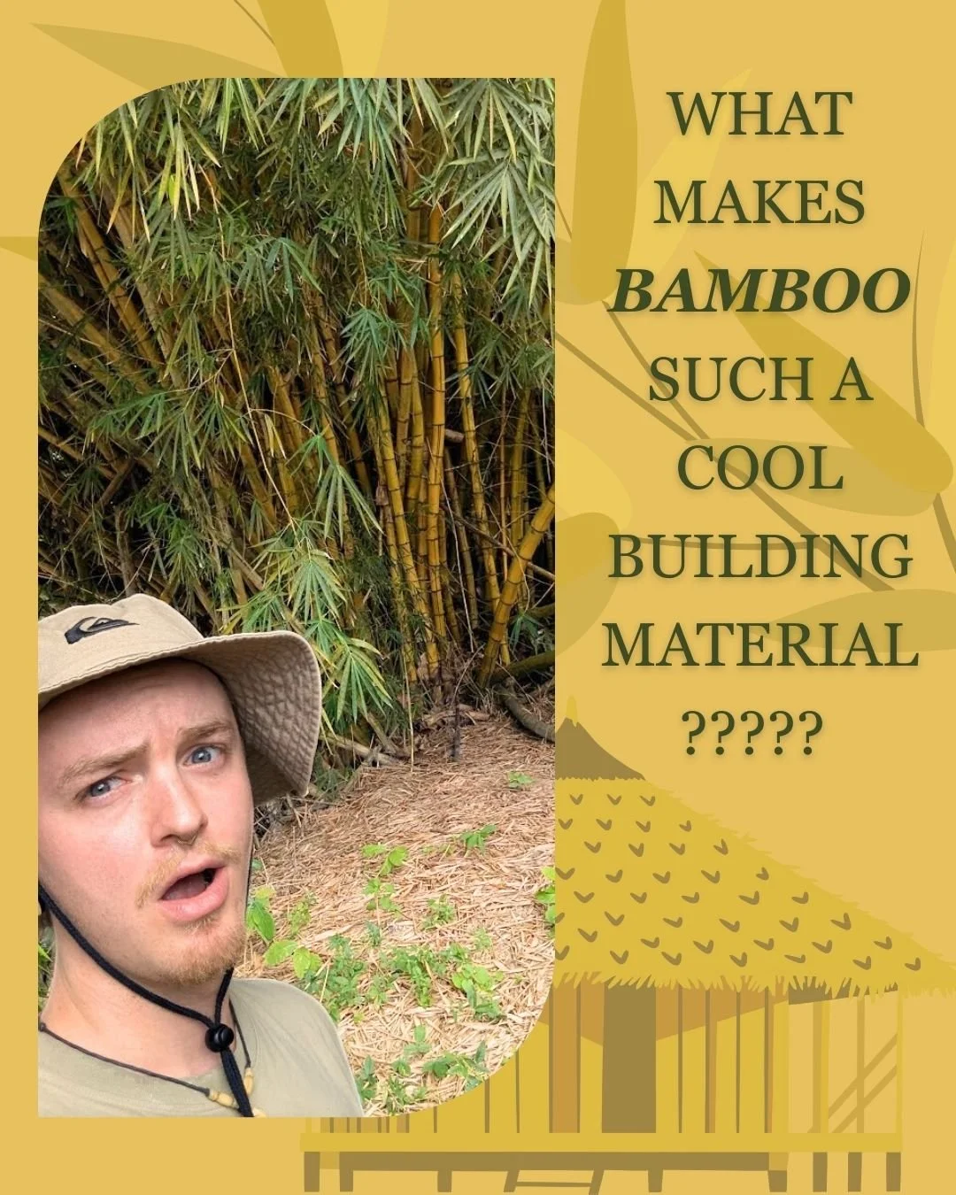 Why is RFI so obsessed with bamboo?? 

Because bamboo is awesome! And frankly underrated. It has been used as a building material for centuries but has lost its popularity after the industrial revolution and has been stigmatized as &quot;the poor man