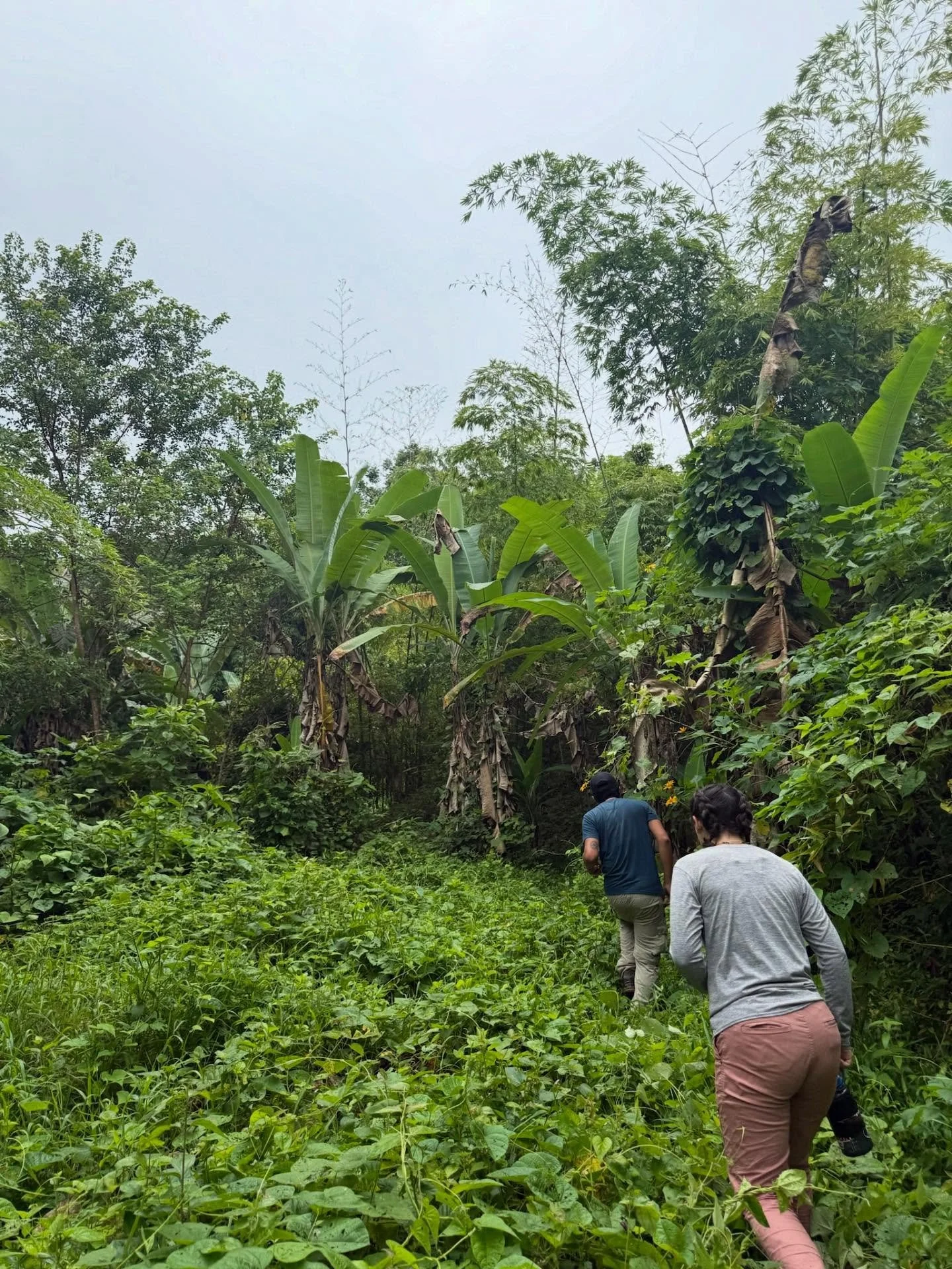 and back at it&hellip; day 5!
We began building our structure at Ricuarte&rsquo;s elementary school, to create a shaded space for the students and their parents
Bamboo dam building 
And making a Johnson Su bioreactor 
A busy, hard working day with a 