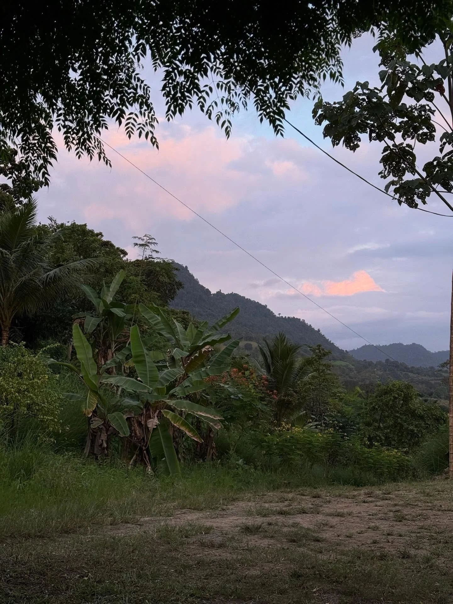 Day 4! 
-harvesting and testing cacao at Casa Alba, Farm Castora Sol, and then making our own chocolate! 😋 
-singing and dancing to celebrate their 100th anniversary 
-lunch at RFI, then splitting into groups to work on mintaoning the syntropic line