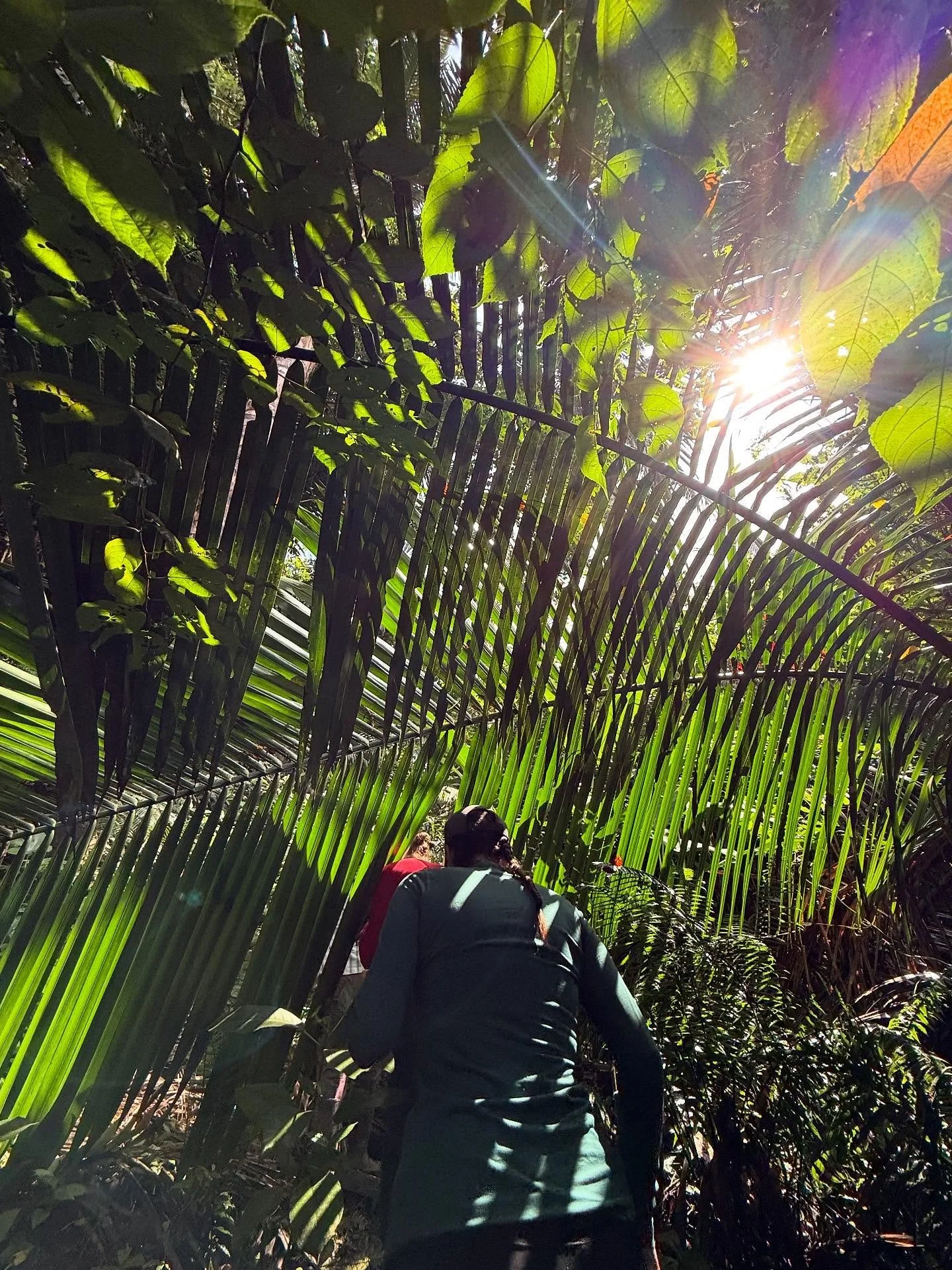 day ✌️
-breakfast at RFI, thank you to our amazing kitchen staff!
-exploring the beautiful primary rainforest with professor Luis 
-lecture on soil research with Oscar!
-bamboo dam building, Johnson-Su composting, and GIS mapping of the farm