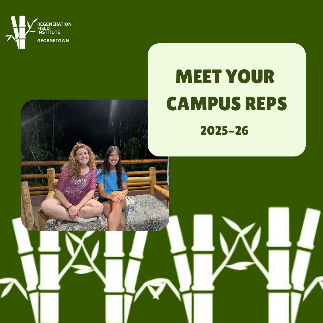 Meet your Georgetown campus representatives for 2025-26! Stop by and say hi at our info session next Tuesday @ 6:30 in IDEA Lab (Lau1)