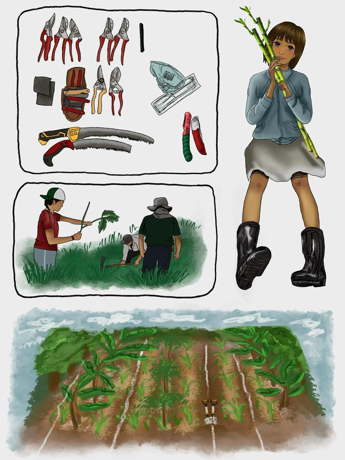 We began our successional agroforestry system in 2022 to create a model for what diversified economic revenue streams, reforestation and soil regeneration can look like bound together in one agroecosystem. Since then we have held workshops, welcomed 