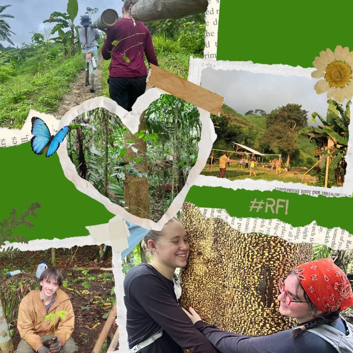 Remembering last years trip makes us so excited for this spring!! Join us Monday the 29th, at 5:30pm in the library for more info!

#regeneration #msu #sustainabilty #springbreak #studyabroad #adventure #gogreen