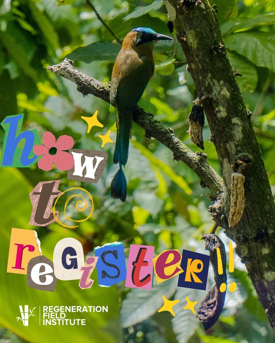 Register before October 1st for the early bird discount!! Reach out to campus reps with all your questions! We are so excited for this year&rsquo;s program! 🌿

#sustainablity #gogreen #rfi #regeneration #agroforestry #michiganstateu