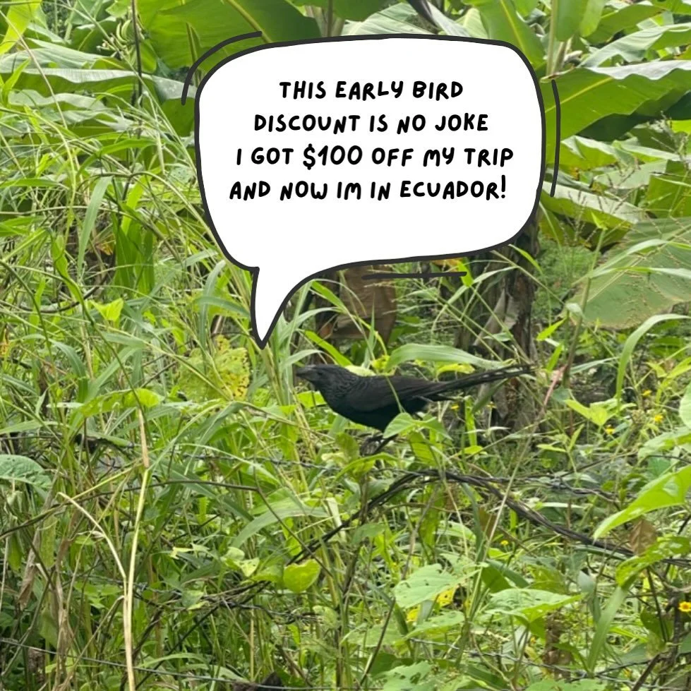 TODAY is the last day to get $100 off your trip price!! while this amazing deal ends today, you still have until October 24th to register for the trip this spring😸✨

click the link in the bio to register or fill out the interest sheet and dm us/ ema