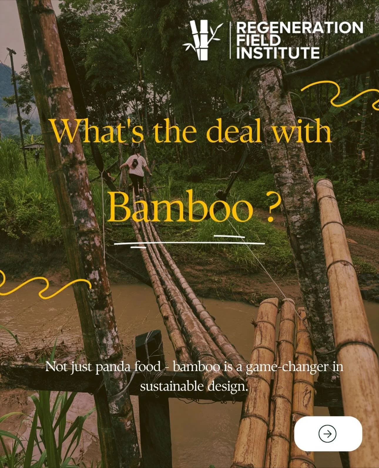 Wait why do we care about bamboo again ? 🤔💭 SWIPE to remember why !! 👀💚

slides credit : @gatech.regeneration