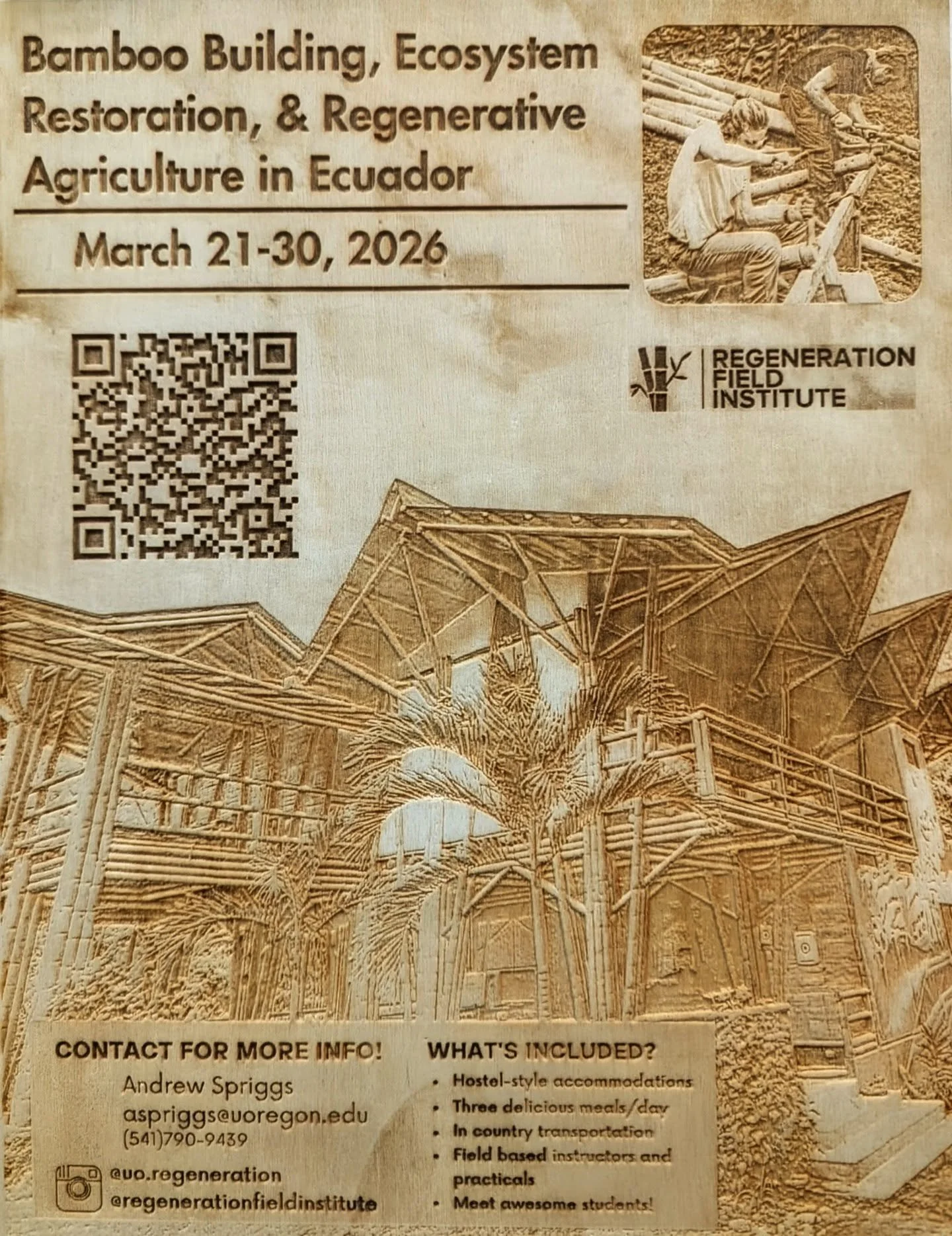 Have you seen this pop up around campus 🤔 ? 

If you spot my laser-cut poster somewhere (usually some office, library, or event), send me a pic and I'll give you a fun fact about bamboo or syntropic agroforestry! (You choose)

Keep an eye out 👀