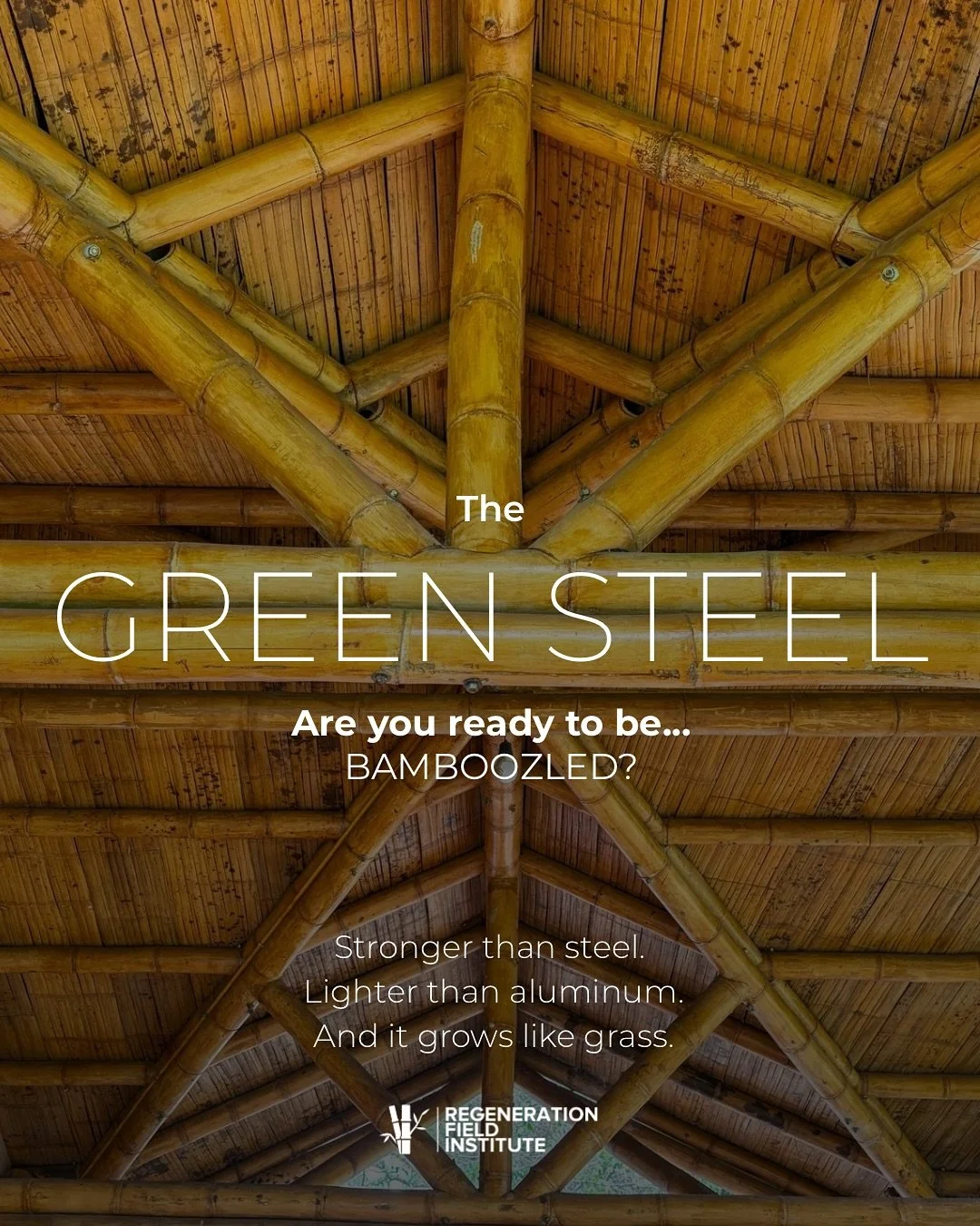 Welcome back to Bamboozled, our series exploring how bamboo is transforming the way we build, design, and restore our planet. 🌿

Bamboo is often called &ldquo;the green steel&rdquo;&mdash;and for good reason.
It&rsquo;s one of Earth&rsquo;s stronges
