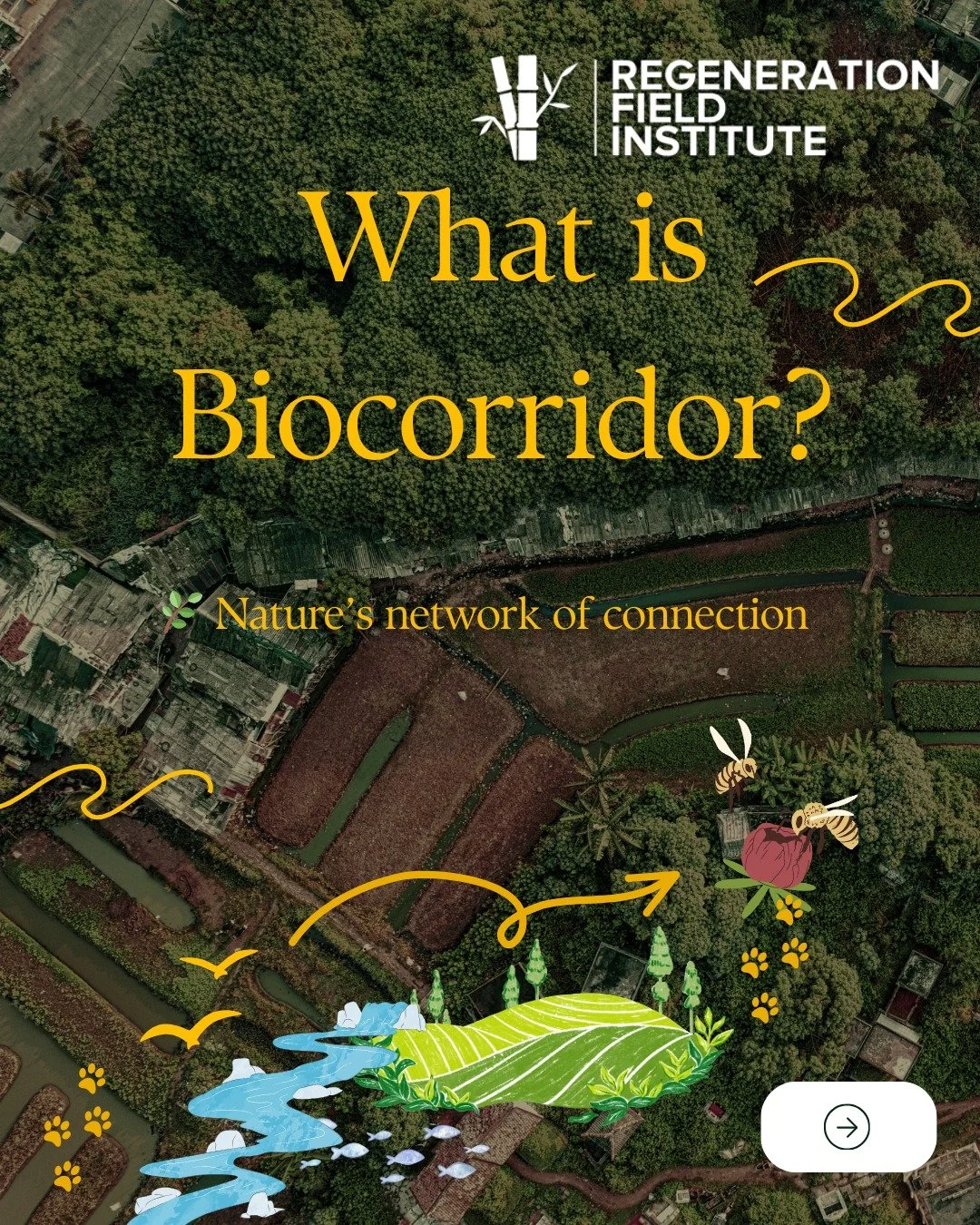 This week&rsquo;s lesson: 🌱 Biocorridors - nature&rsquo;s green highways.
They connect forests, rivers, and cities - helping wildlife move, ecosystems thrive, and people reconnect with the land.

#RFI #GeorgiaTech #Regeneration #UrbanEcology #Biocor