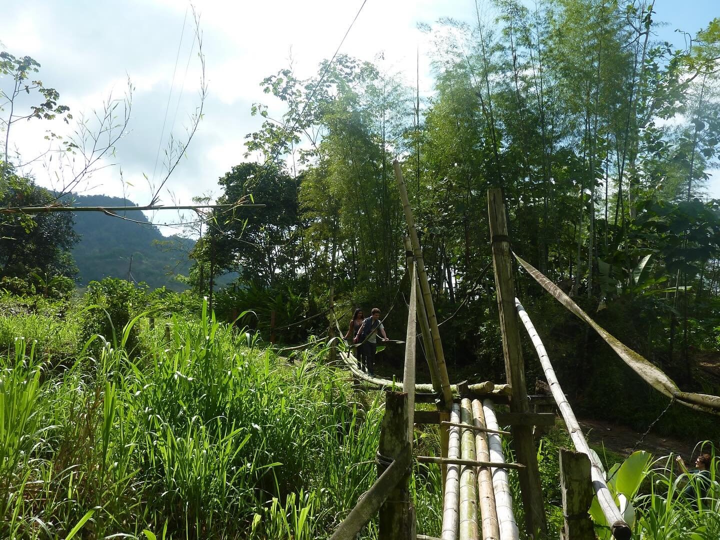 the vibes in Ecuador 🤌🏽🧑🏽&zwj;🍳💋💋💋💋 * chefs kiss *

don&rsquo;t believe us ? come see for yourself !! 😏

&mdash;> link in bio !! registration + interest forms in bio !!

📸 : @saqetula