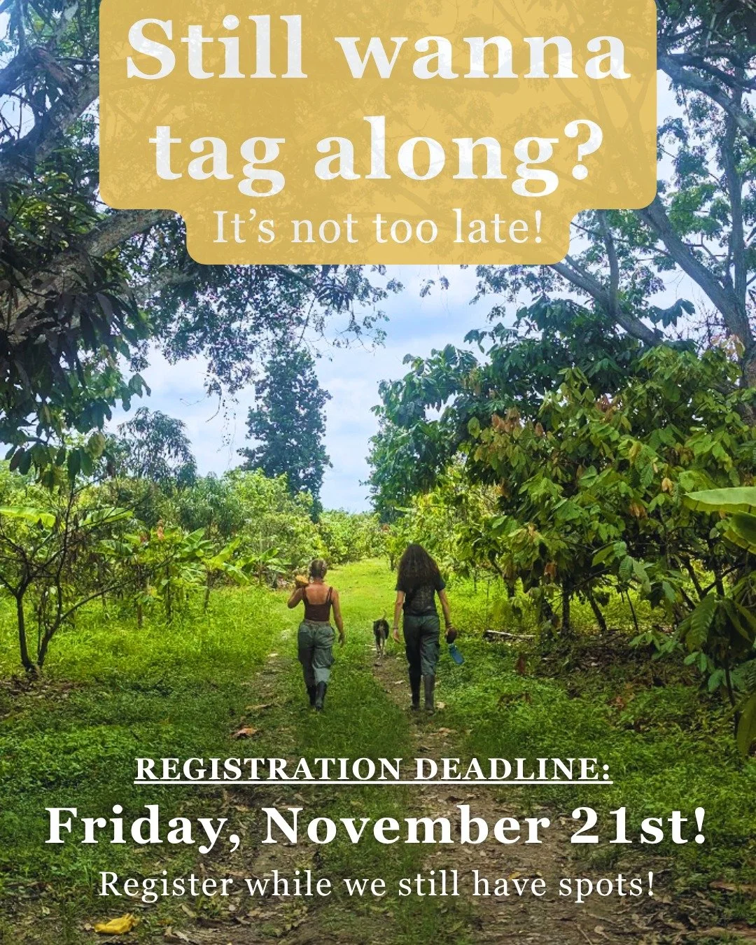 Our registration deadline is coming up, so you've still got time to join our spring break program! We've got an awesome group of registered students so far, and still a handful of open spots waiting for you! What are you waiting for? Come tag along!
