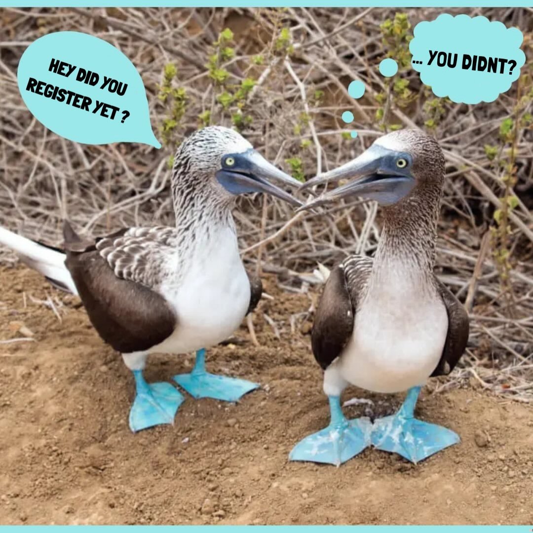 Hey Bears ! Can&rsquo;t make it to our upcoming winter session ? No worries , take advantage of our summer program with our EARLY BIRD DISCOUNT ($100 OFF) going on RIGHT NOW !!! 🩵

SUMMER PROGRAM DATES : MAY 19-28th ☀️
🚨 $100 off until DEC. 18th !!