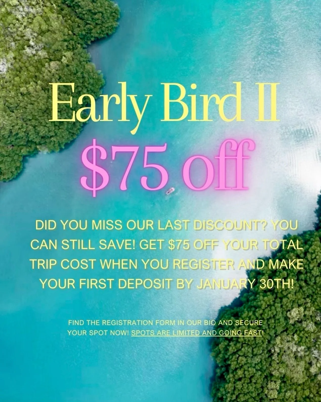 Did you miss the last Early Bird discount?? No need to worry! You can still save $75 off now with Early Bird II until January 30th! This is our LAST discount, so don&rsquo;t wait and save now! Our registration link can be found in our bio as always. 