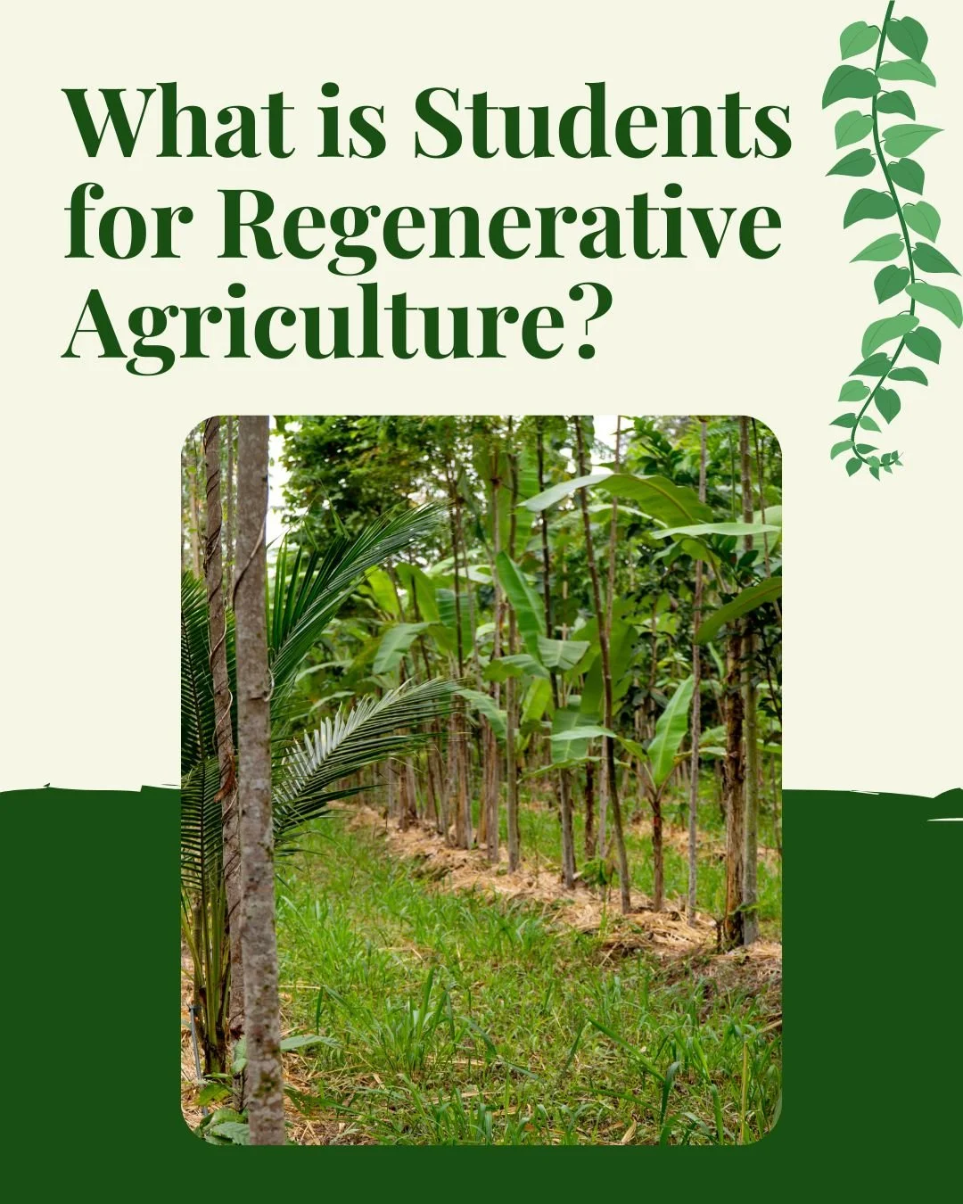 We are so excited to see everyone during the Student Org Fair from 5-8 PM at the Kohl Center!

SFRA is open to all who are interested in agriculture, environmental science, food systems, policy, and community-based sustainability work 🌿🌿

Student i