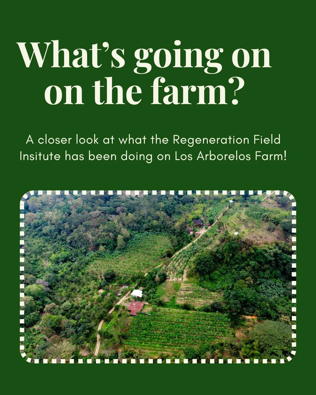 Sneak peek of what RFI is up too and what our Students for Regenerative Agriculture members will be doing this summer 😏😏

ONE WEEK to sign up for UW-Madison's May trip! Register here: https://www.regenerationfieldinstitute.com/2026-uwisc-may-1928