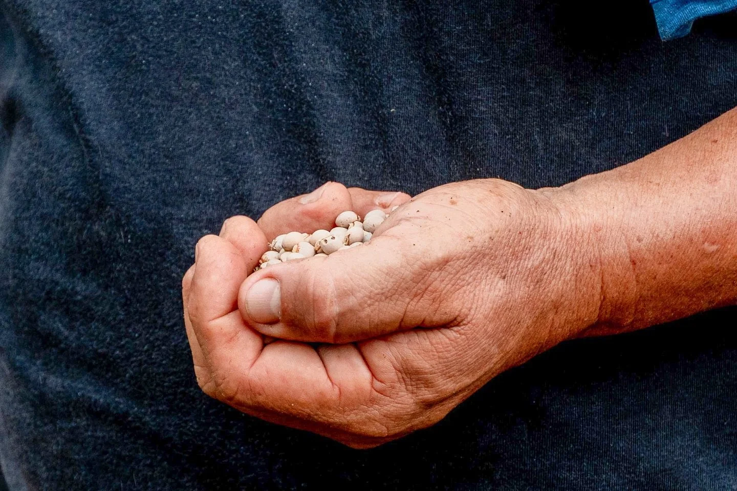 Our Farmer Field School is fully underway and entering its final week of installations.

What began with past-generation leaders standing beside emerging farmers is now visible in the field. Seventy-five plots have been installed, and by the end of t