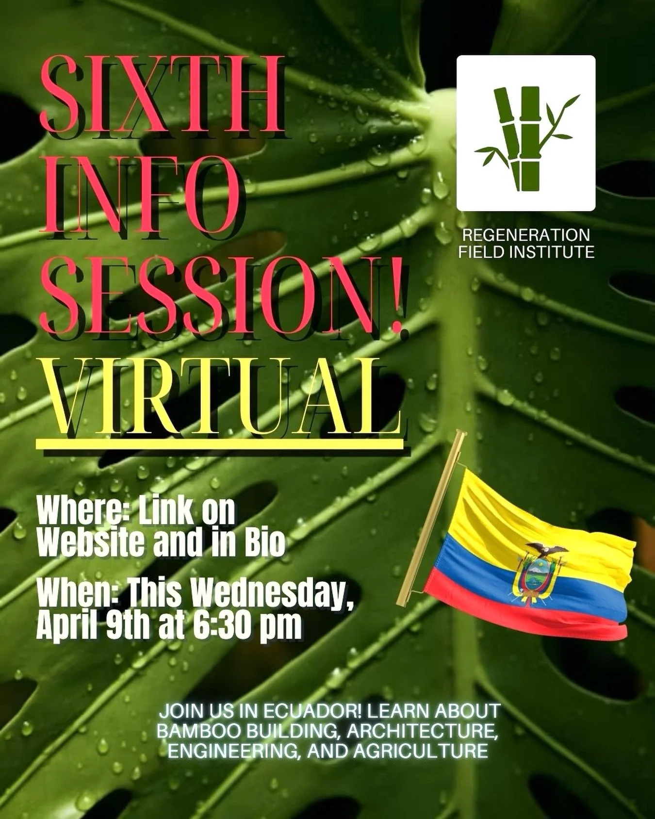 Virtual Meeting This Thursday at 6:30! If you have not been to an Info Session and have any interest in going to Ecuador with us, we would love to share with you all details about how you can make an impact and grow your knowledge in Ecuador! All maj