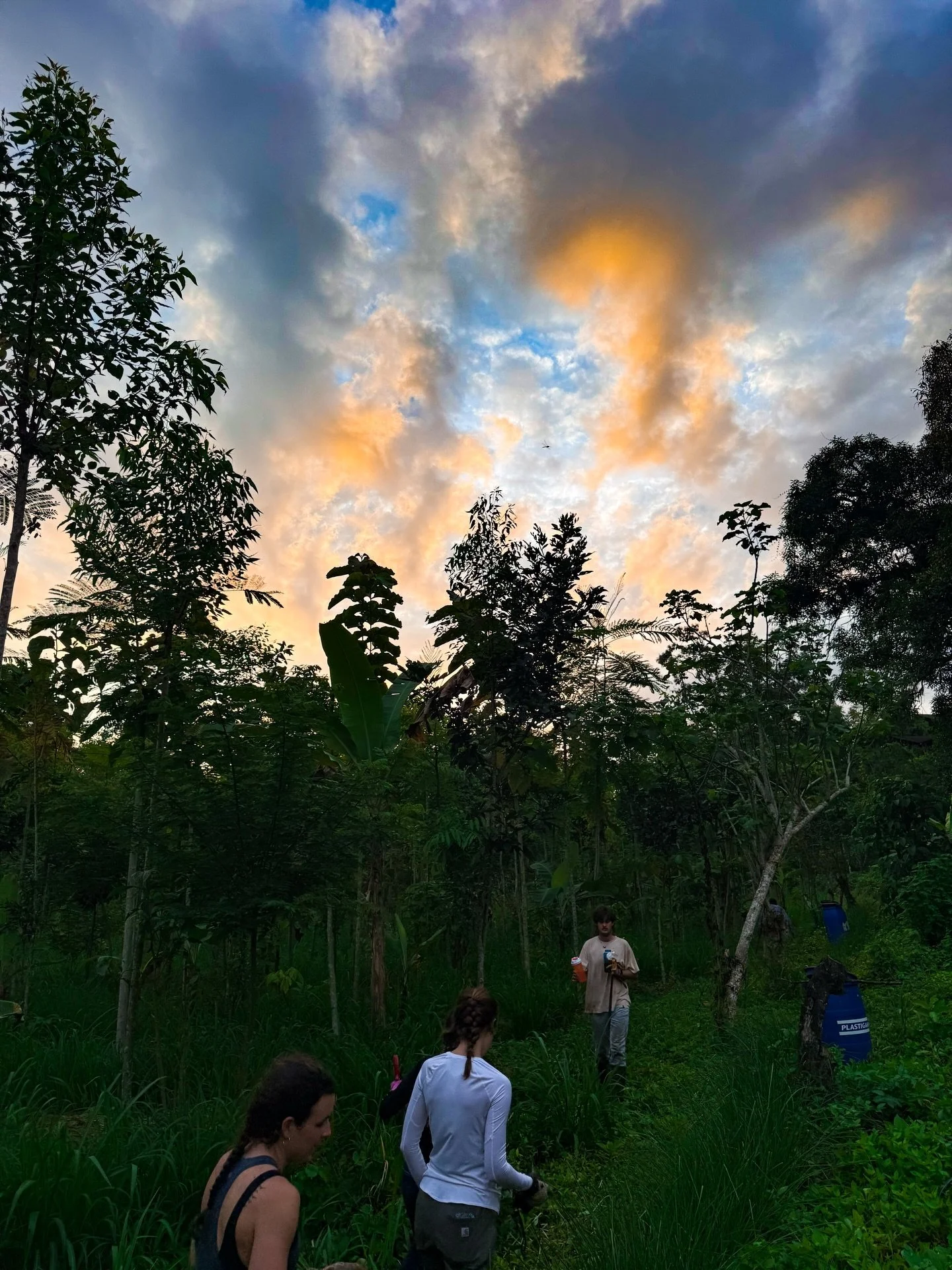 Some highlights from SLO&rsquo;s summer program last year! Missing the farm a little extra, but we will be back in Ecuador very soon!
-
-
-
-
-
#travel #architecture #engineering #ecology #bamboo