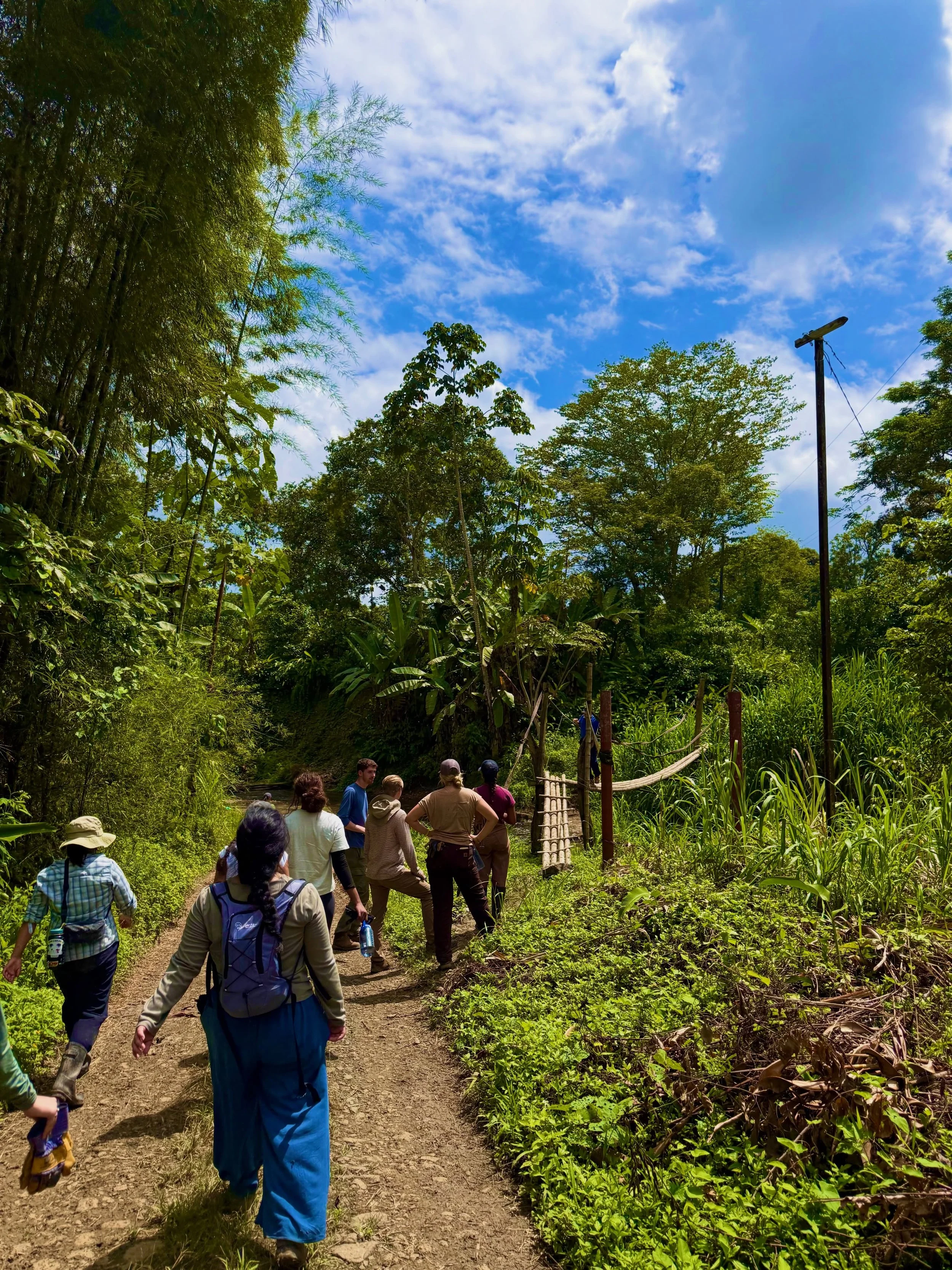Get $100 off your trip from now until May 22nd!! The earlier you register, the more you get out of our Bamboo Design Process! We are currently meeting and working with our amazing architect to design our structure we will build this summer using Sket
