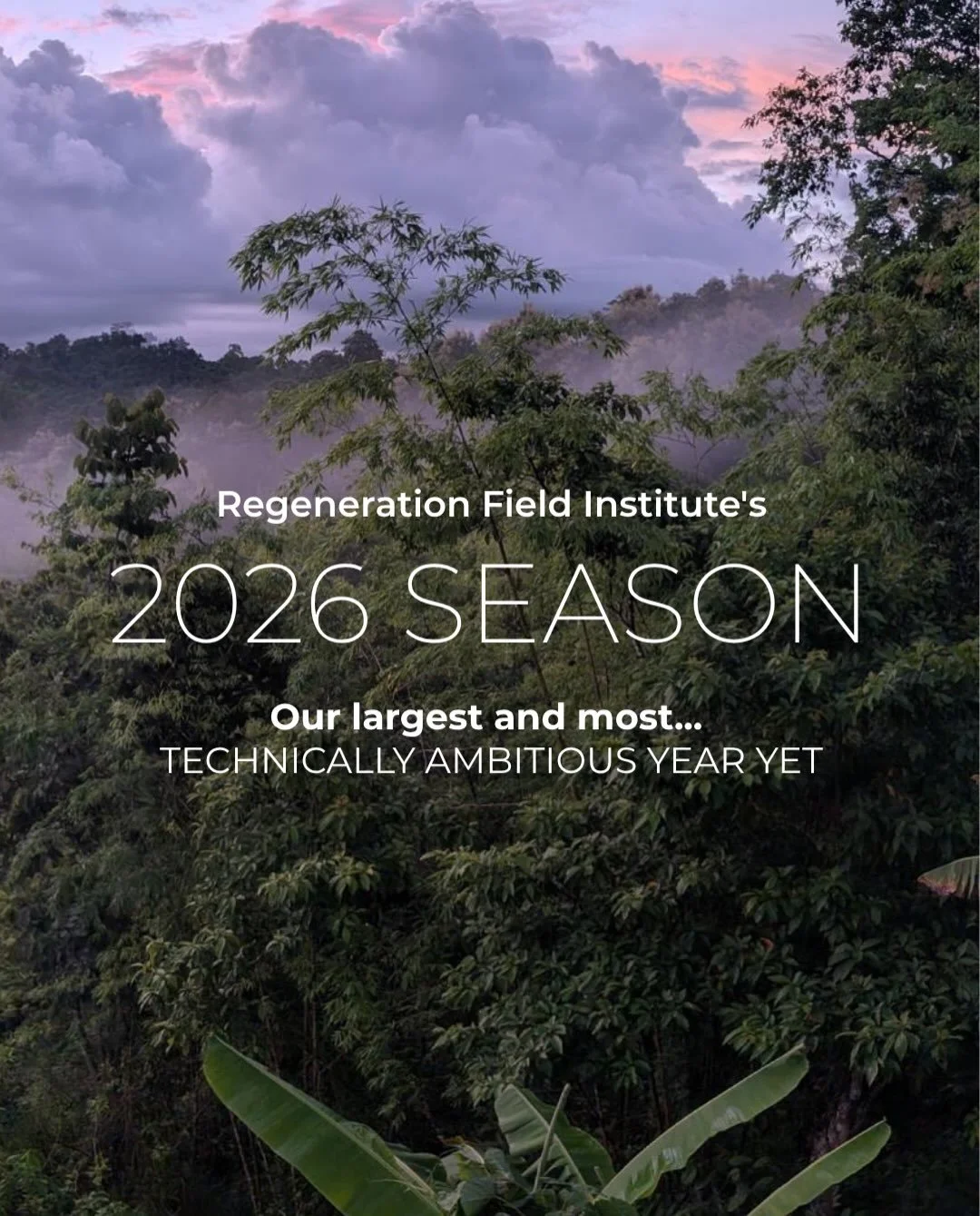As the 2026 season closes and we develop our 2027 programs, we&rsquo;re celebrating RFI&rsquo;s largest and most technically ambitious season yet.

Across three regions, students, fellows, university partners, and local communities advanced bamboo co