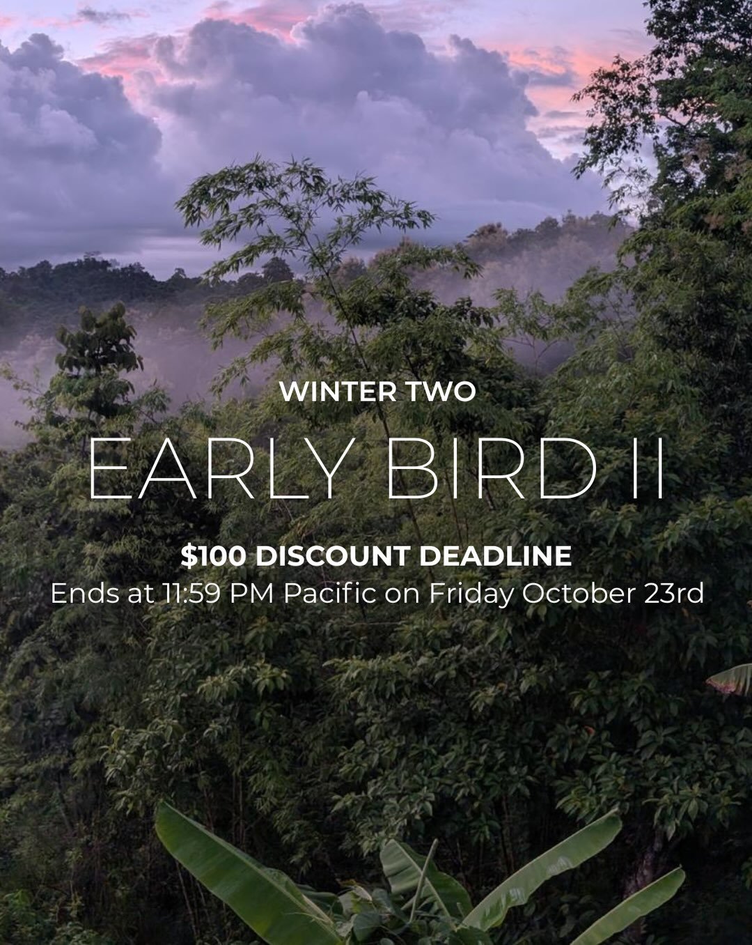 Be part of the next group learning what it looks to implement long-term regenerative projects.

The bamboo construction, agroforestry, and soil research you&rsquo;ve been following here are part of the work you can take part in&mdash;learning alongsi
