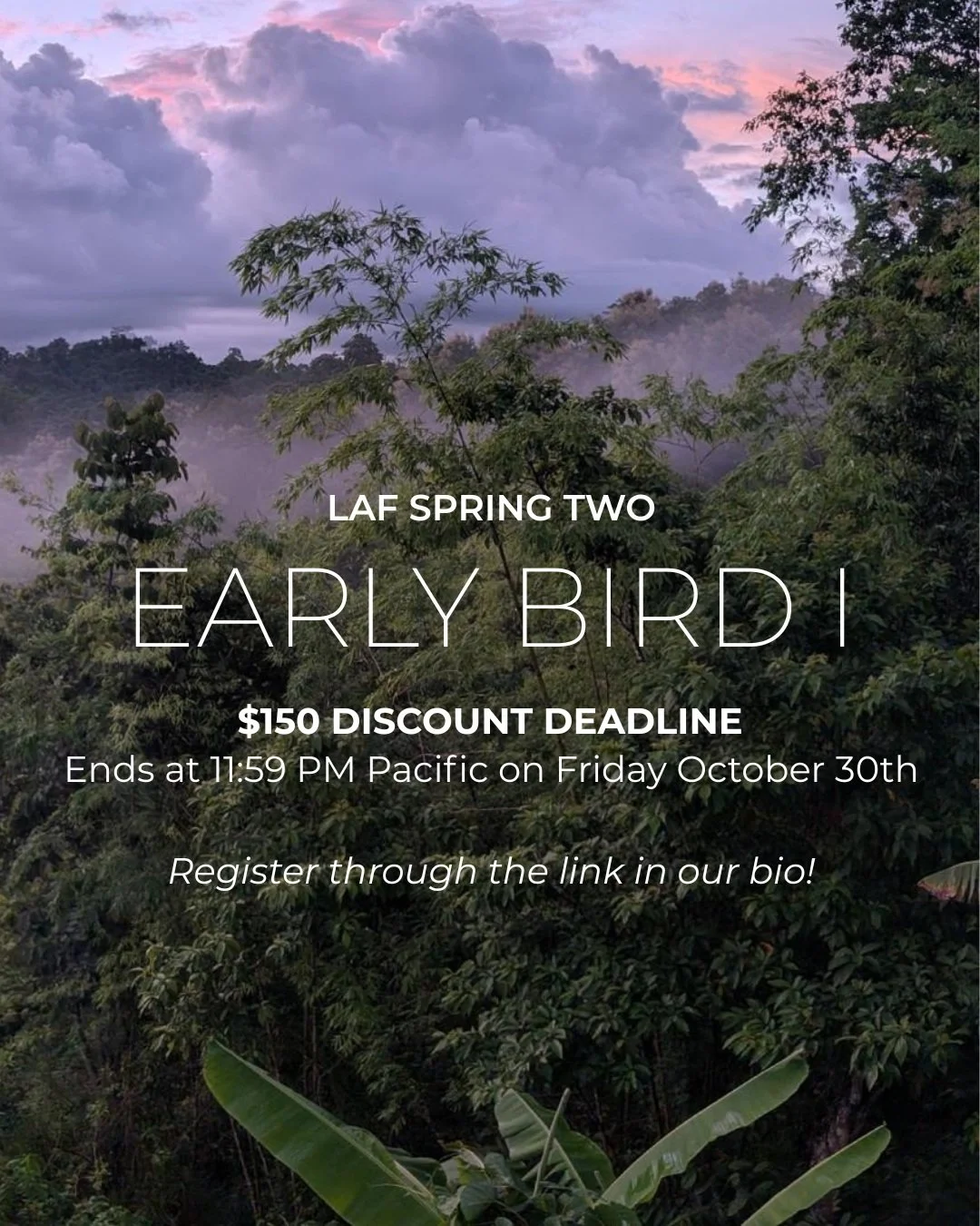 Save $150 on your spring break with us in Ecuador!

Our Early Bird I deadline is this Friday, October 30, for two programs running March 6&ndash;13, 2027:

Los Arboleros Farm | Coastal Ecuador &middot; Spring Two

Tena | Ecuadorian Amazon &middot; Sp