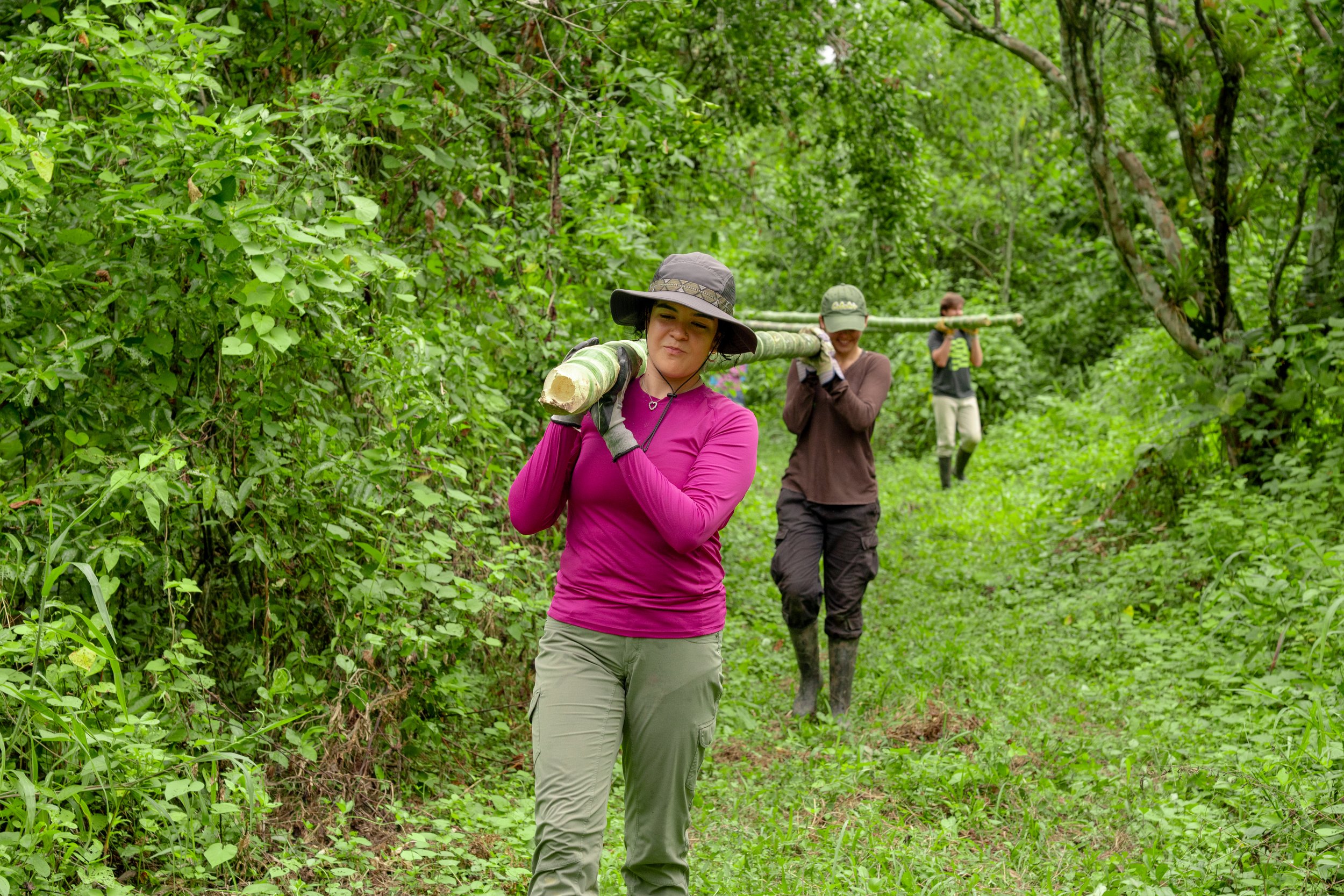 RFI Junio 2025-11.jpg