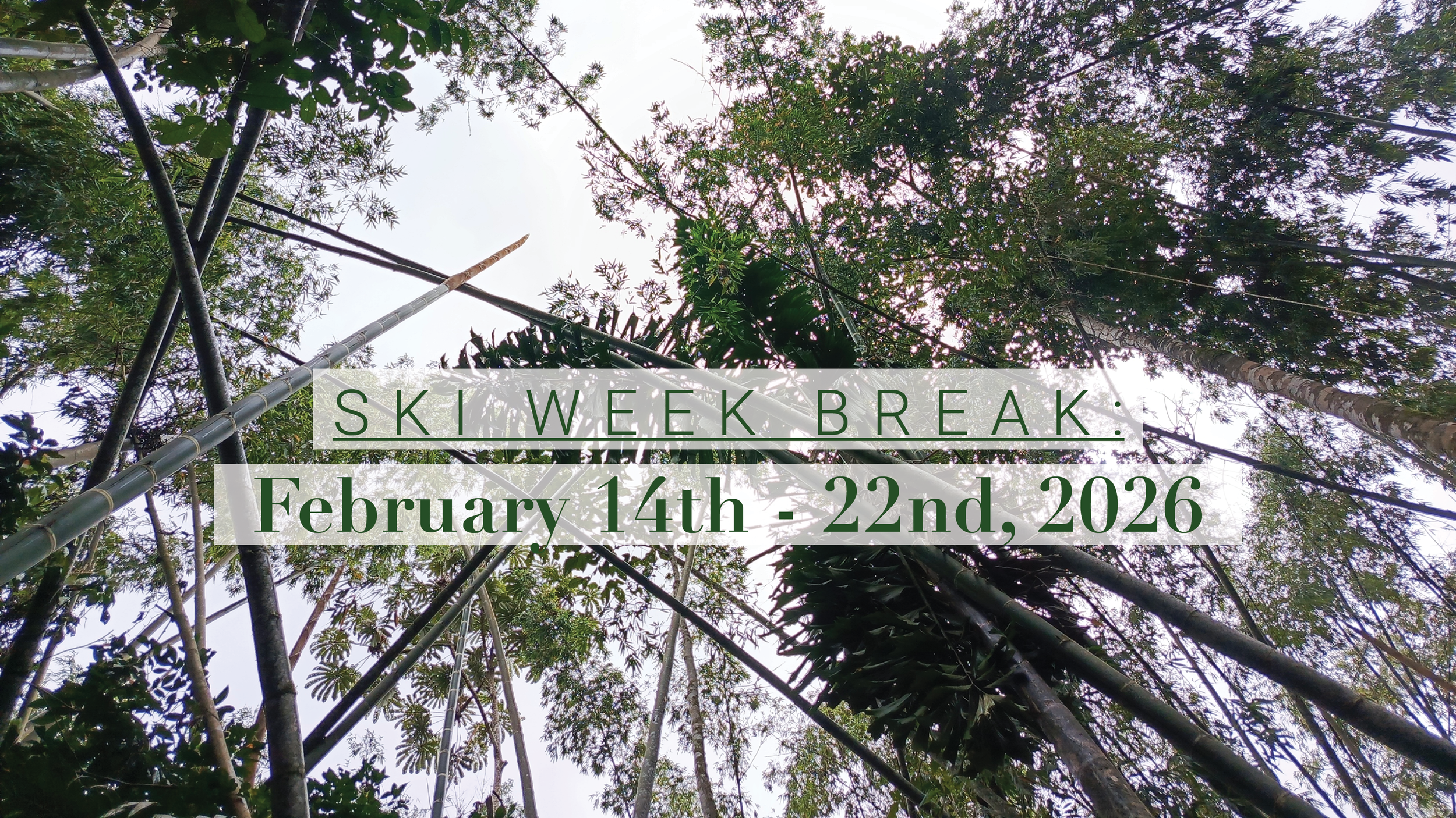 Profile banners redwood.png