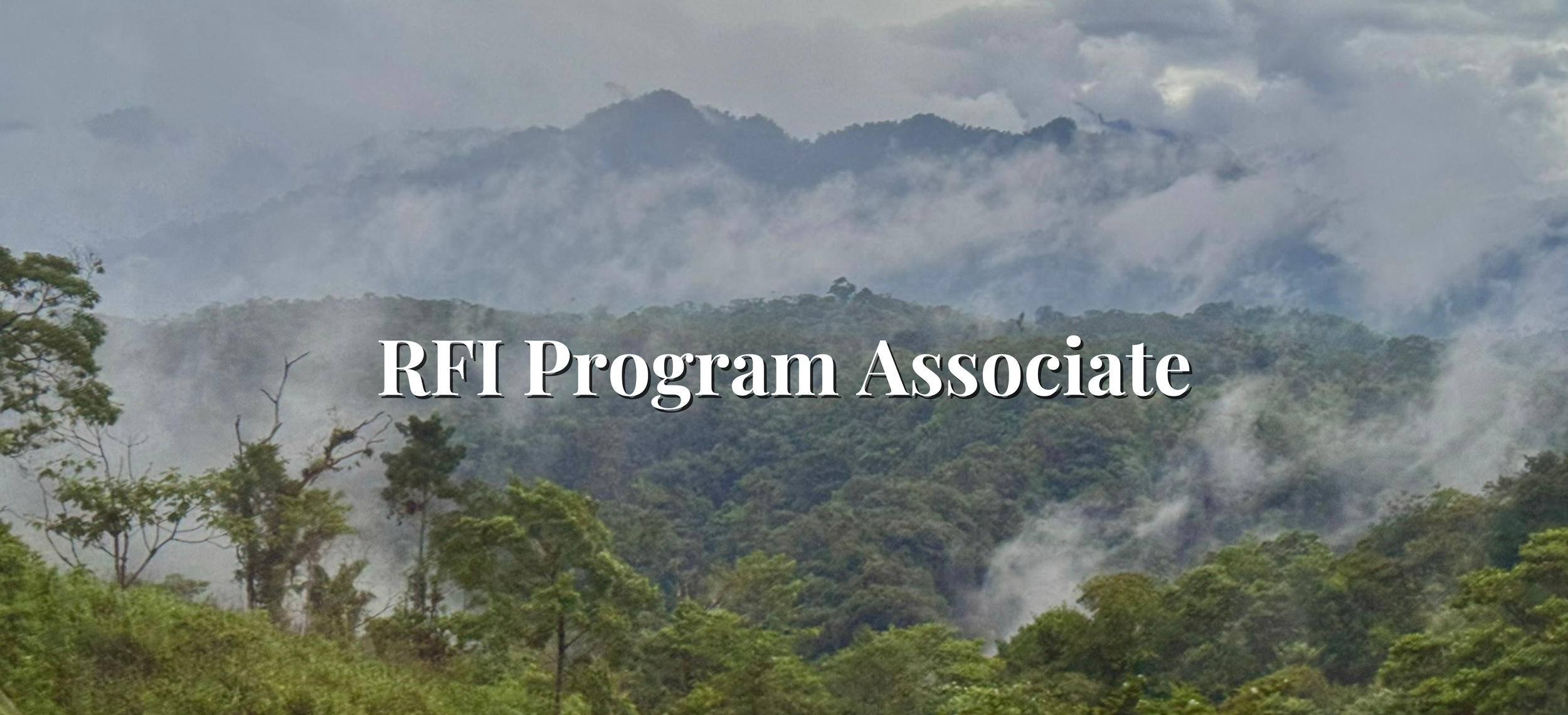 RFI Program Associate.png
