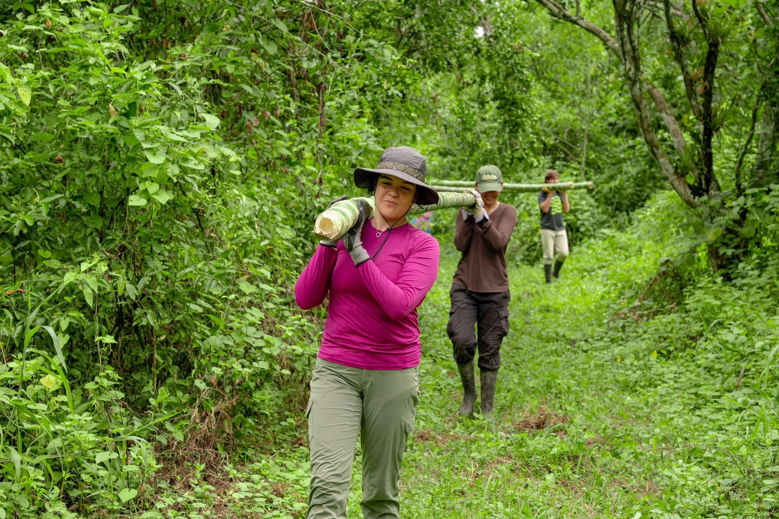 RFI Junio 2025-11.jpg