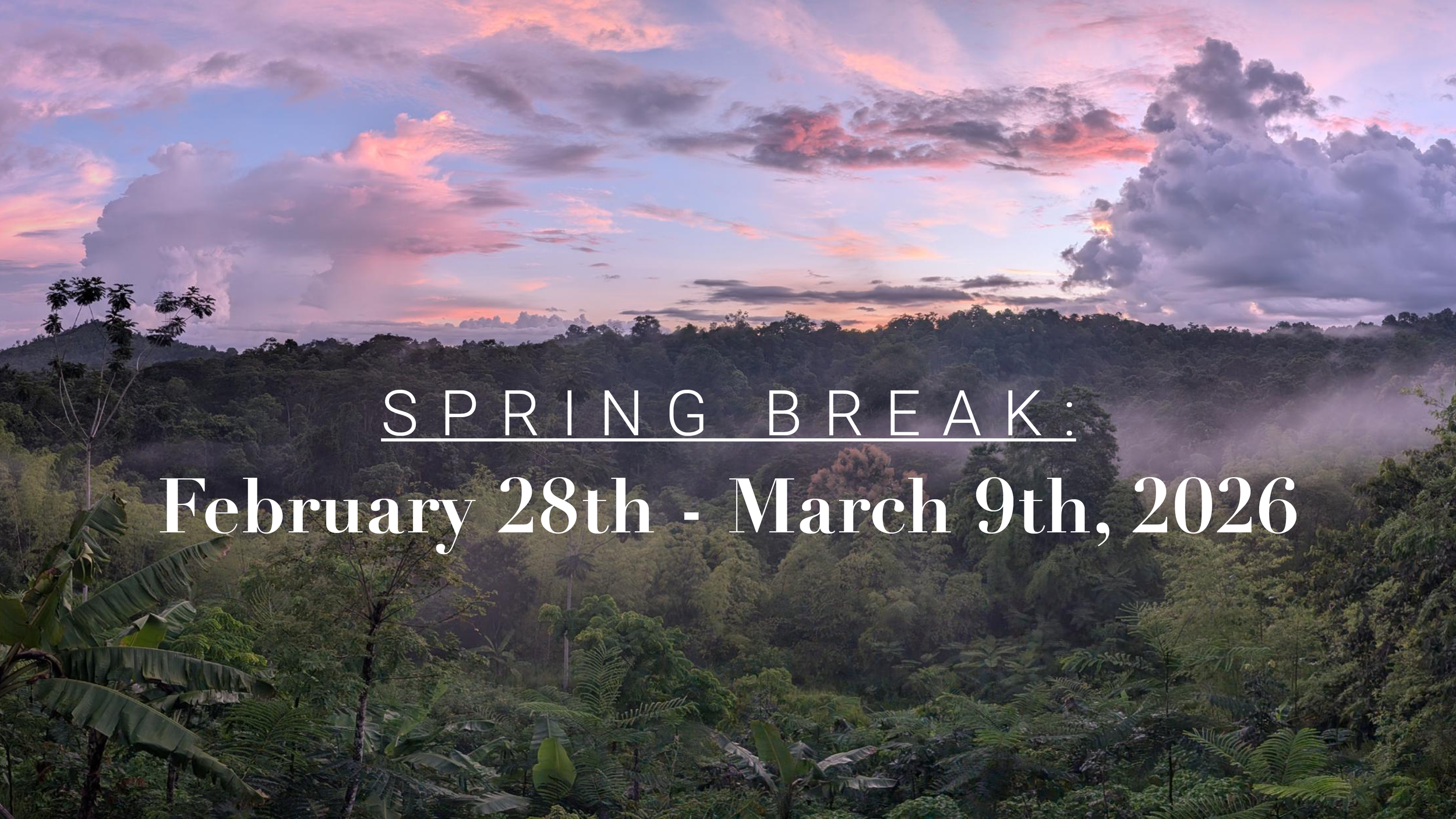 Profile banners3.png