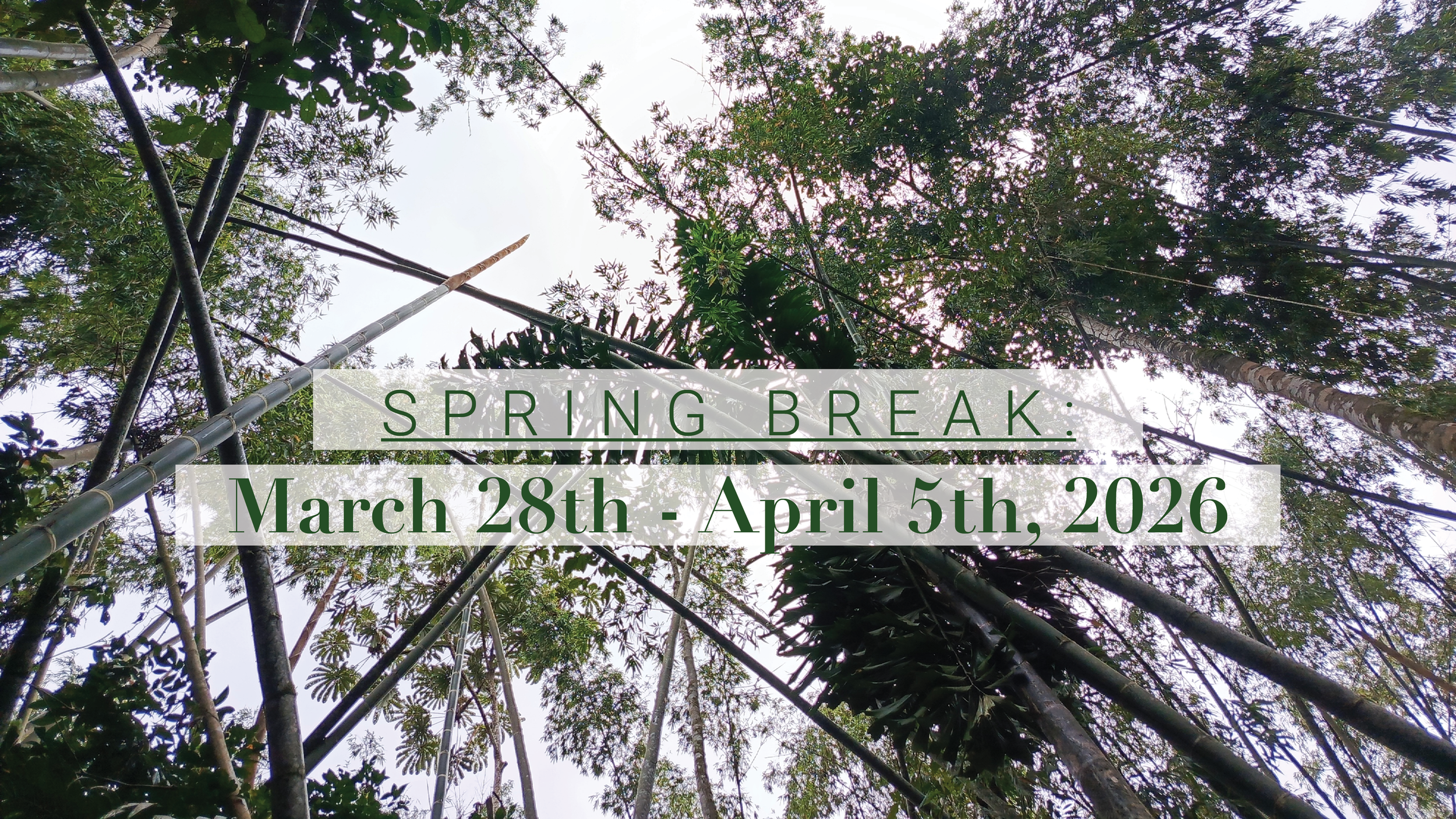 Profile banners3.png