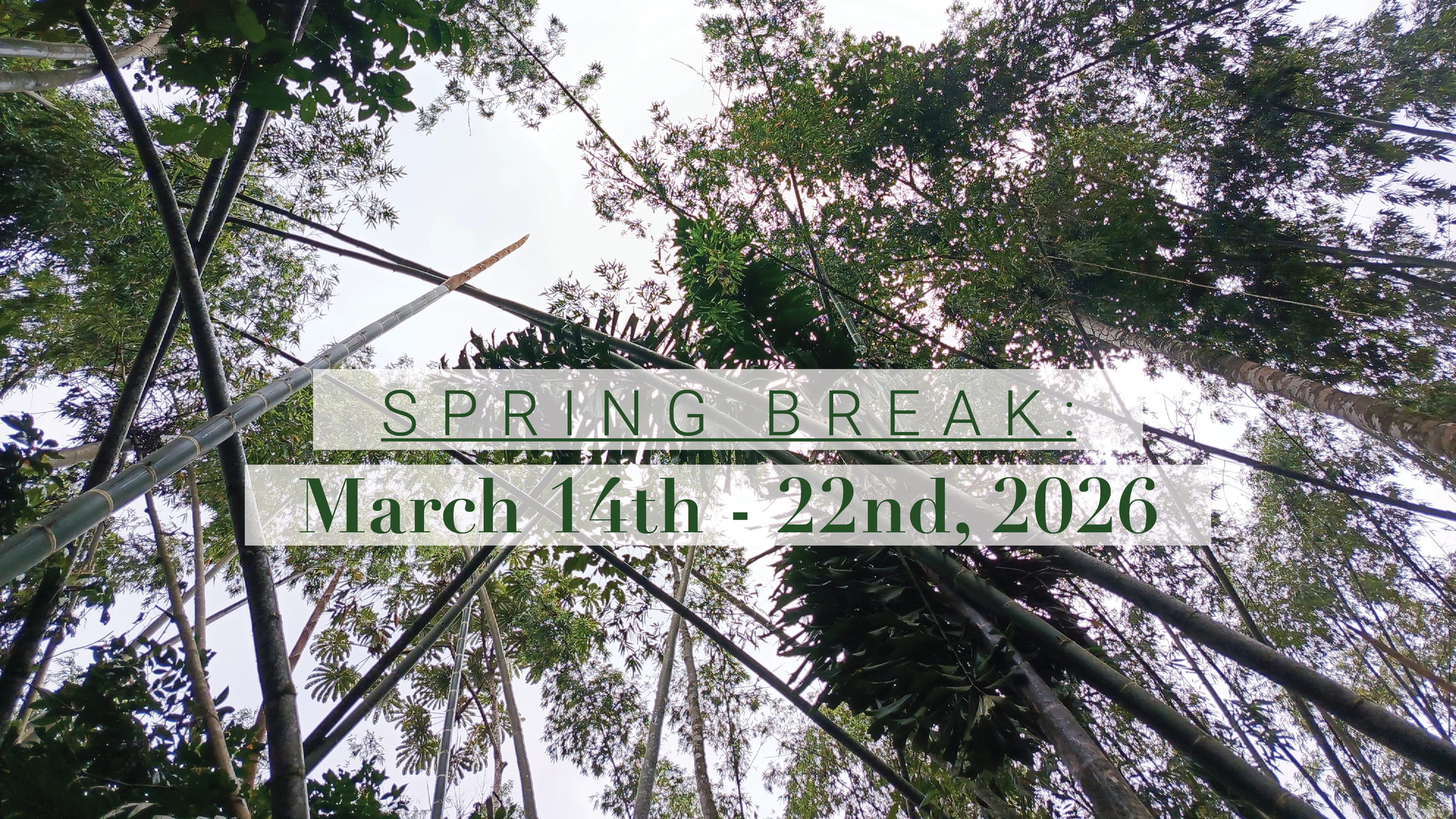 Profile banners2.png