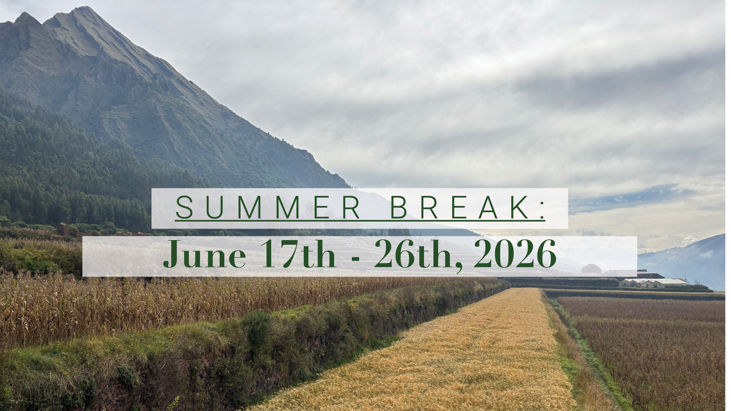 Profile banners5.png