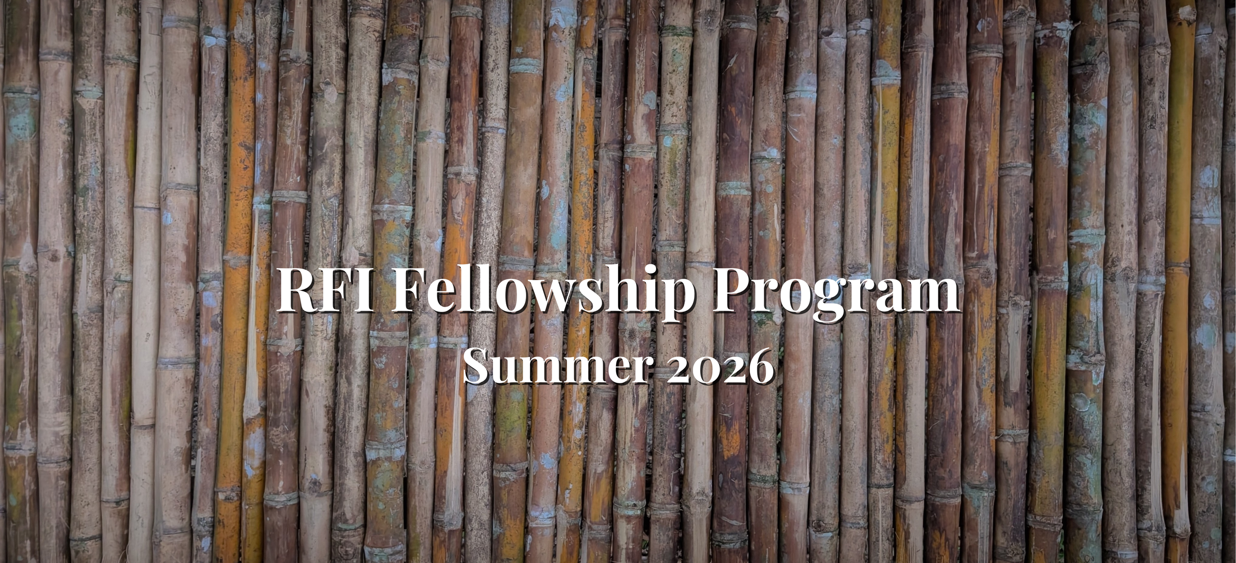 RFI Fellowship Program Summer 2026-2.png