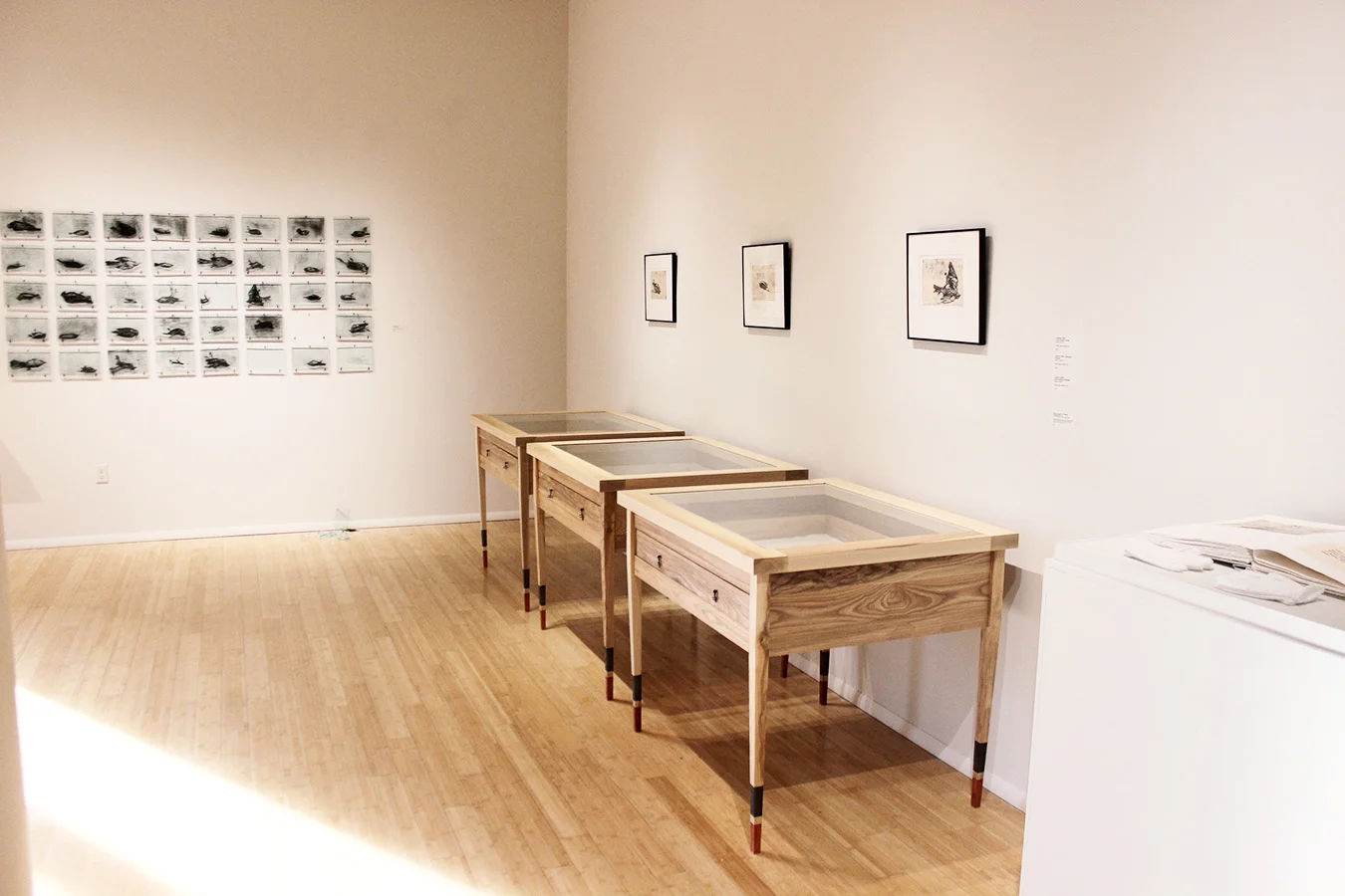 Collisions: exhibition detail