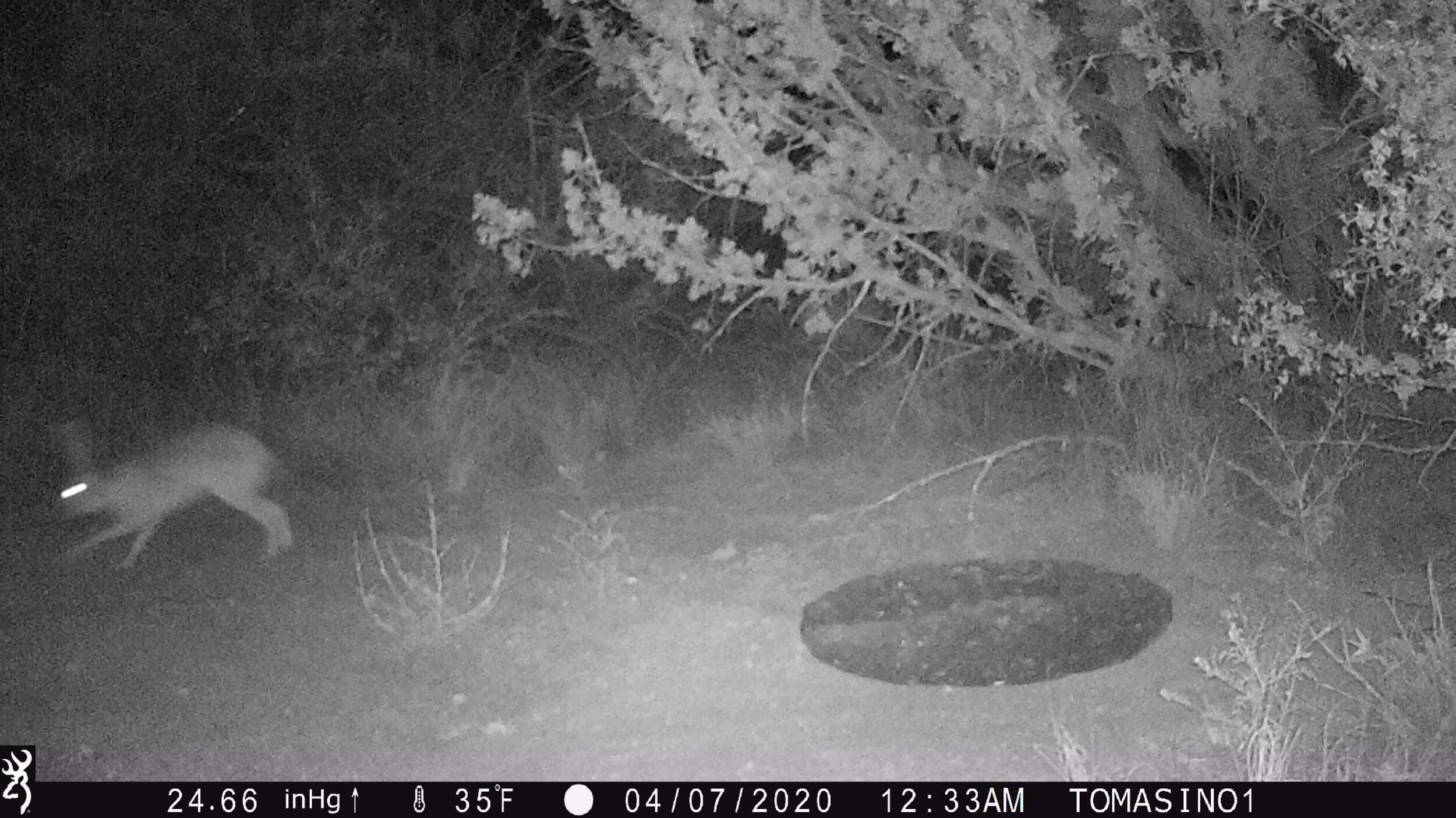 Installation view: An Offering after Drought