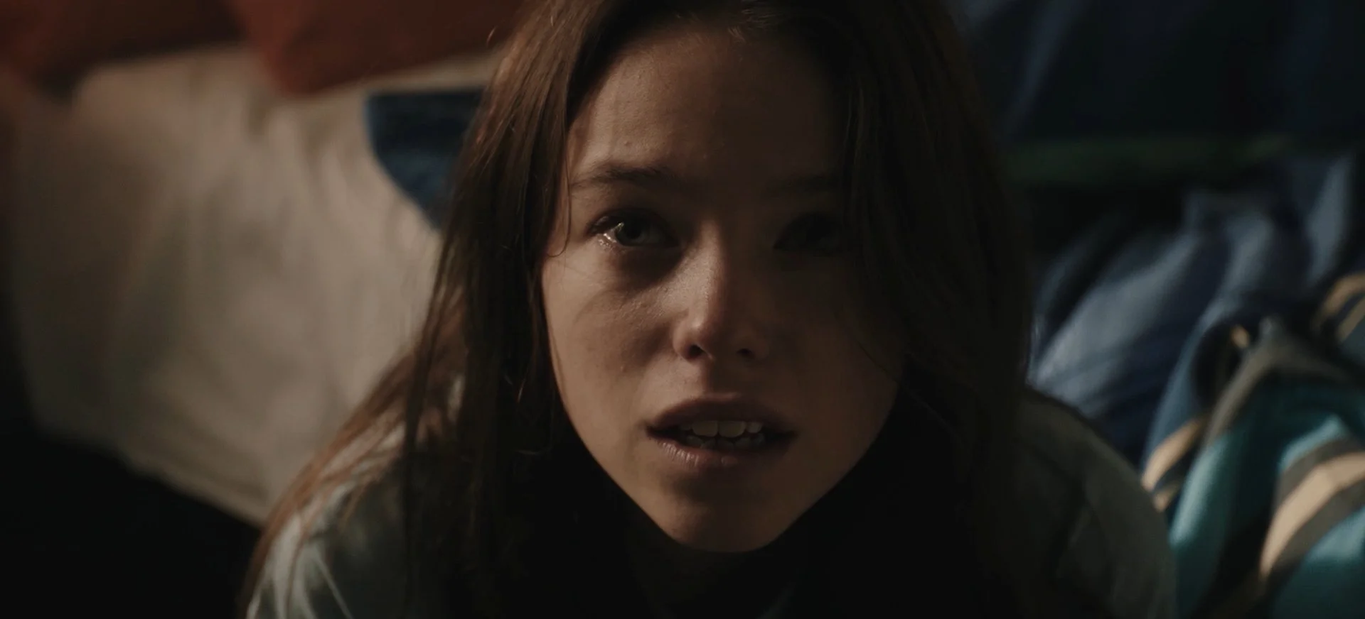 Still 2026-02-07 094530_1.1.11.jpg