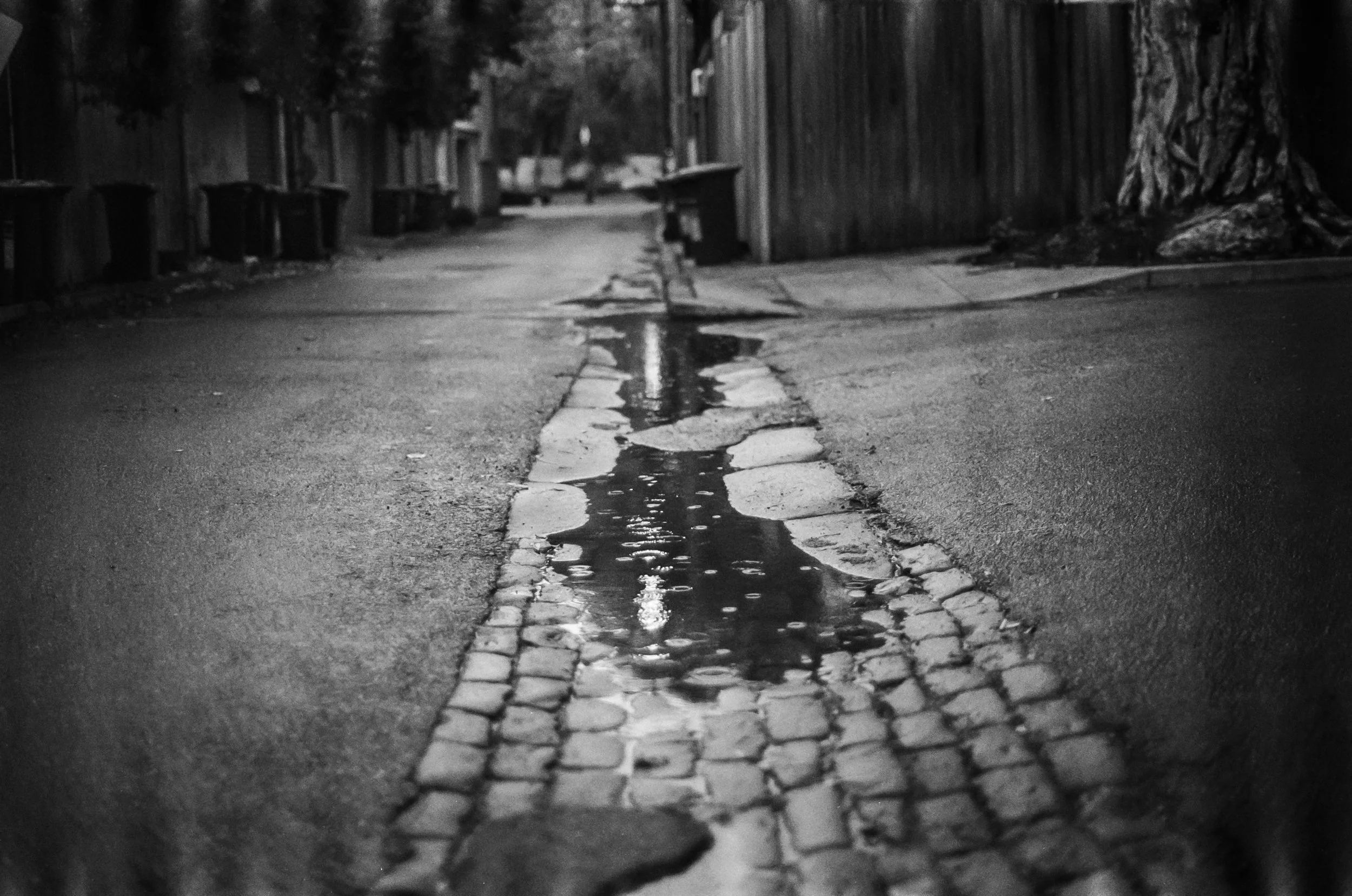 0026_11.jpg