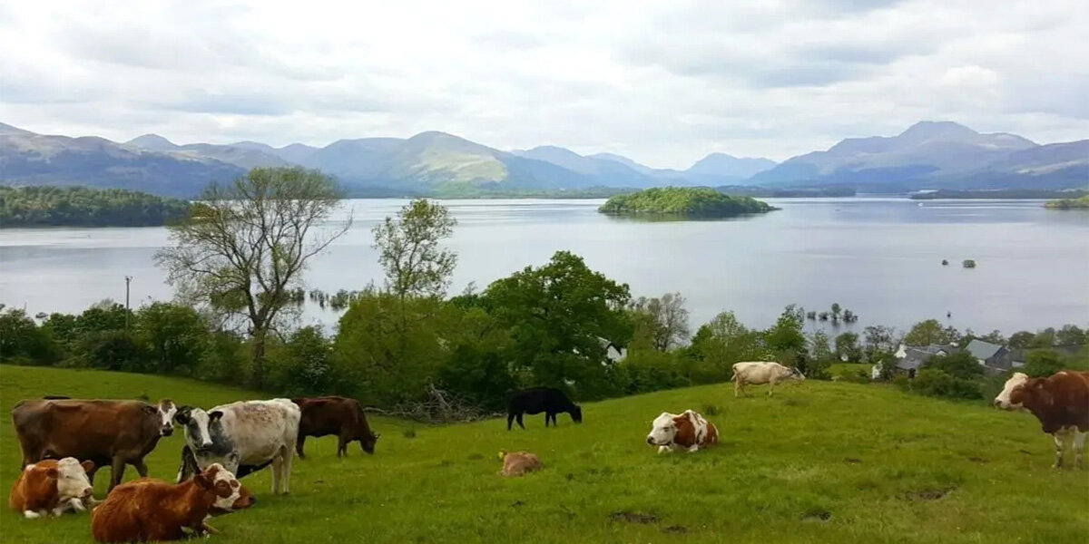 loch-lomond-portnellanfarm.jpg