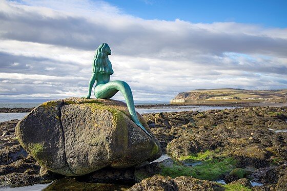 mermaid of the north.jpeg