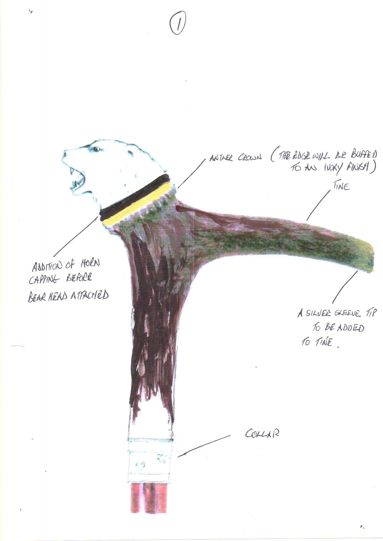  1. early drawings for a bear cromach design 