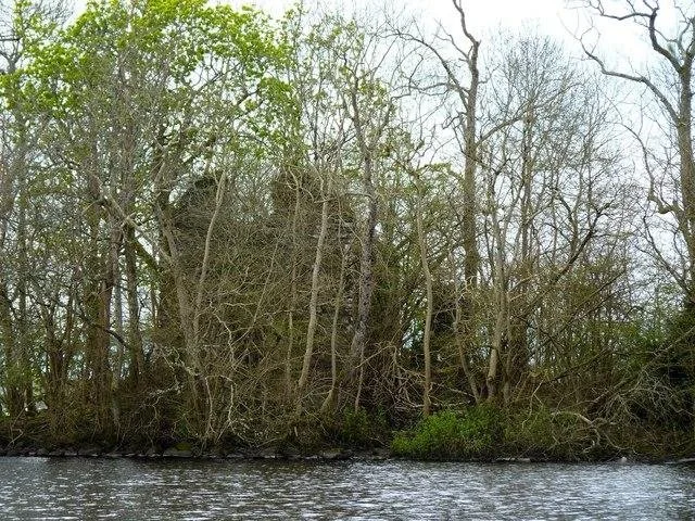 Inchtalla Island 2.jpeg